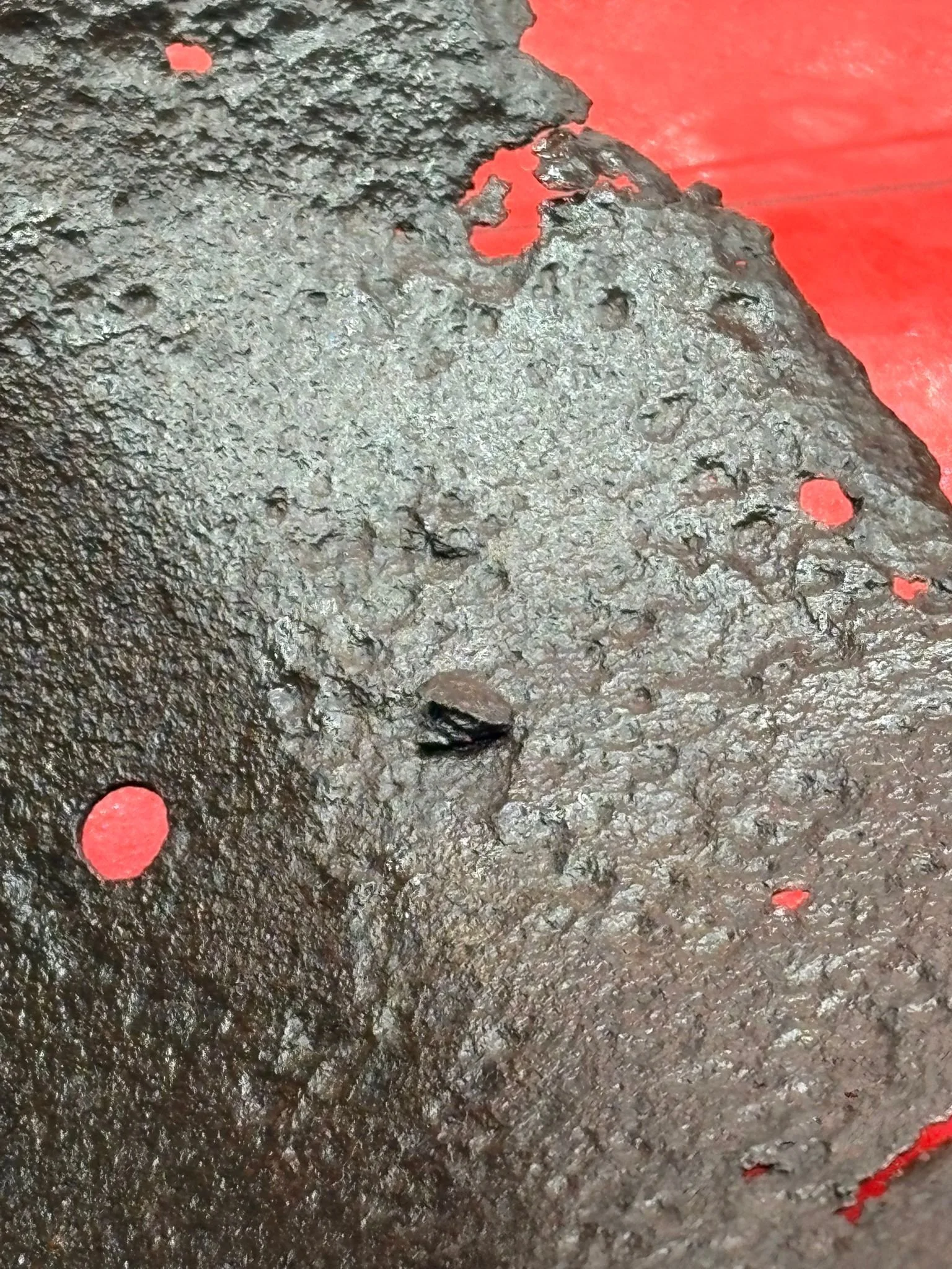 WhatsApp Image 2025-10-27 at 16.02.29 (1).jpeg