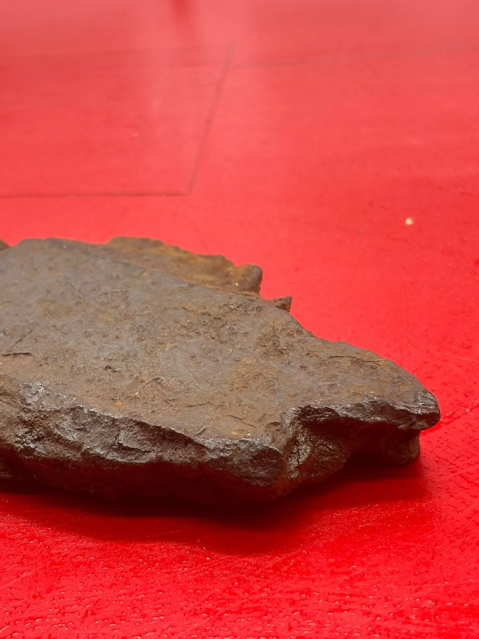 WhatsApp Image 2025-11-18 at 15.10.49 (2).jpeg