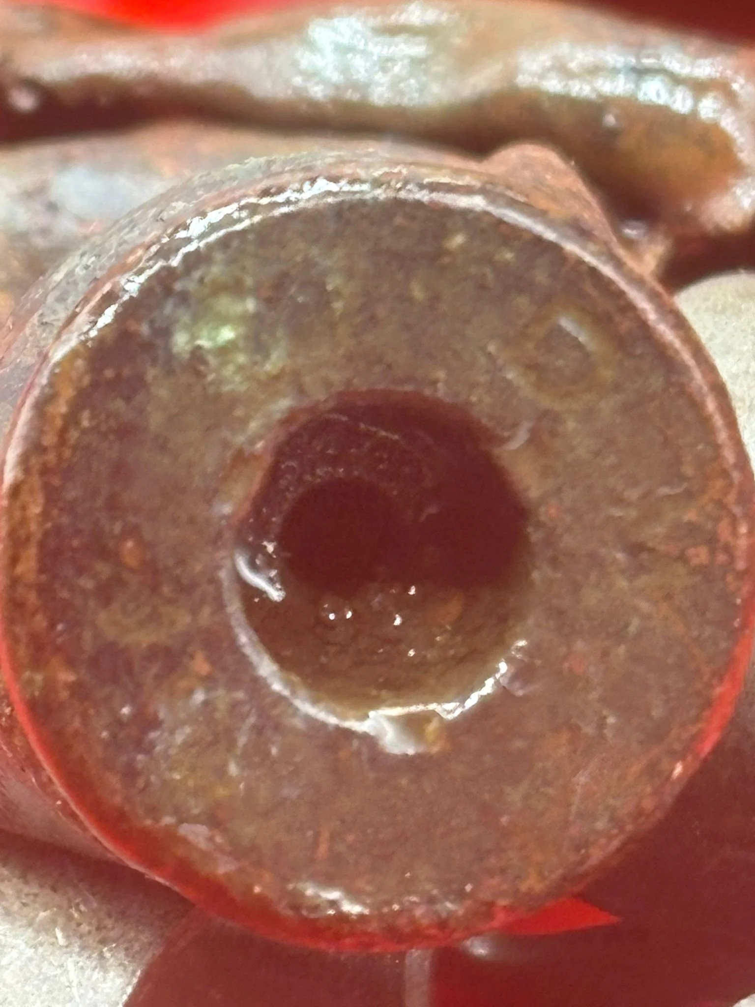 WhatsApp Image 2026-02-13 at 16.13.02.jpeg