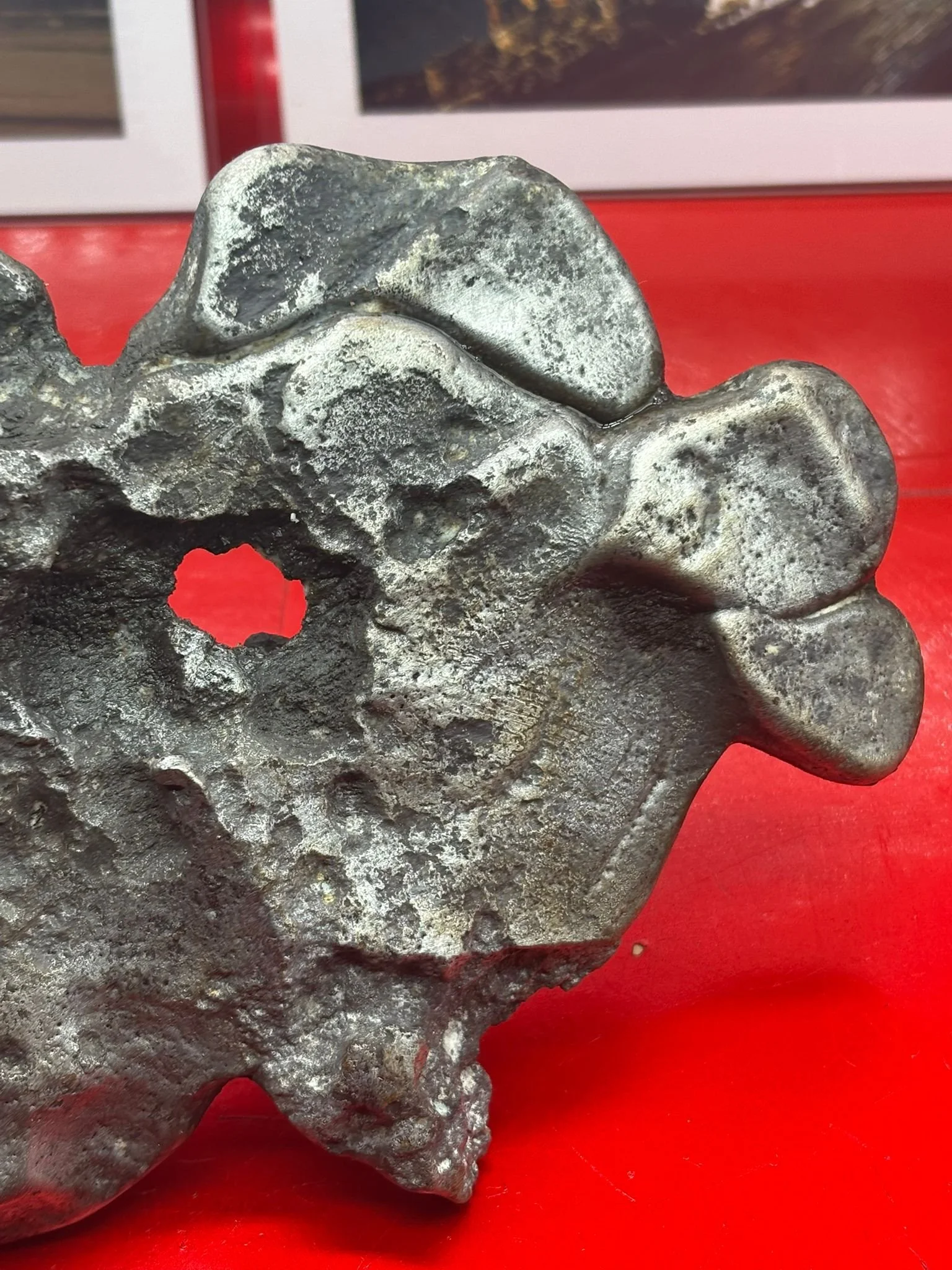 WhatsApp Image 2025-12-09 at 14.09.20 (1).jpeg