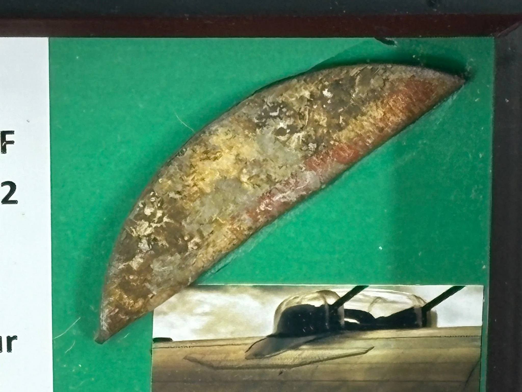 WhatsApp Image 2026-03-11 at 13.02.03 (3).jpeg