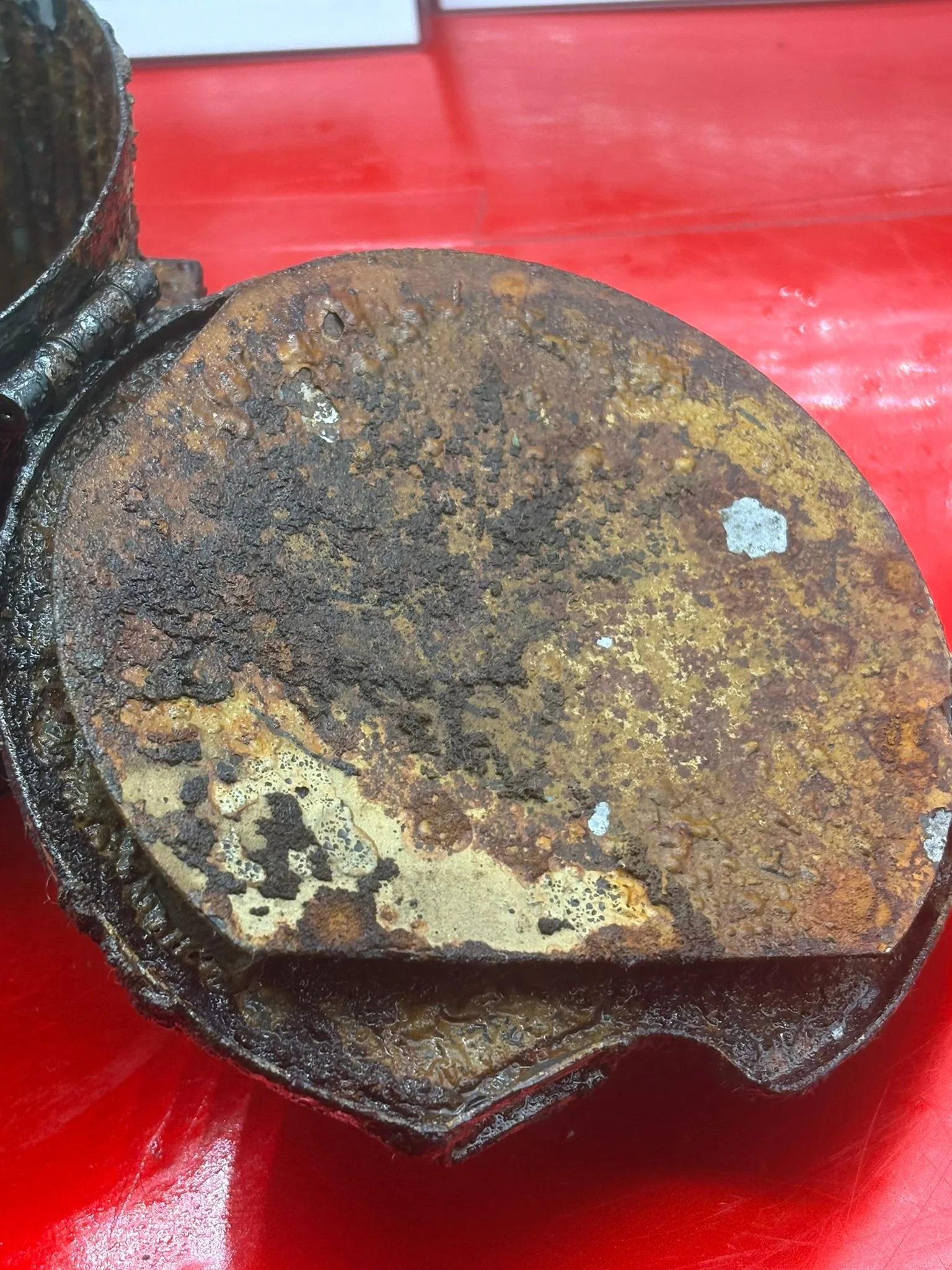 WhatsApp Image 2025-11-24 at 17.11.22 (3).jpeg