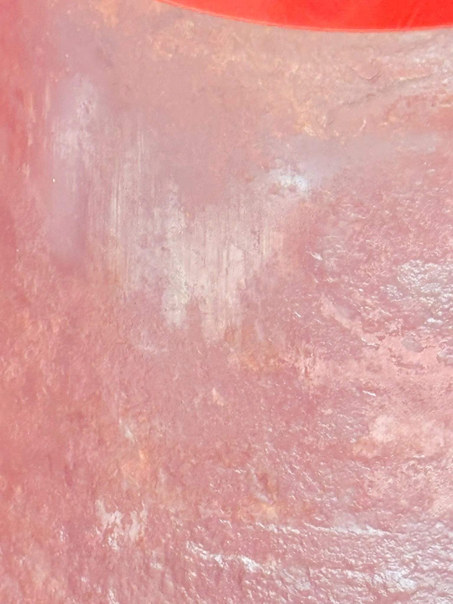 WhatsApp Image 2025-12-08 at 16.52.56 (3).jpeg