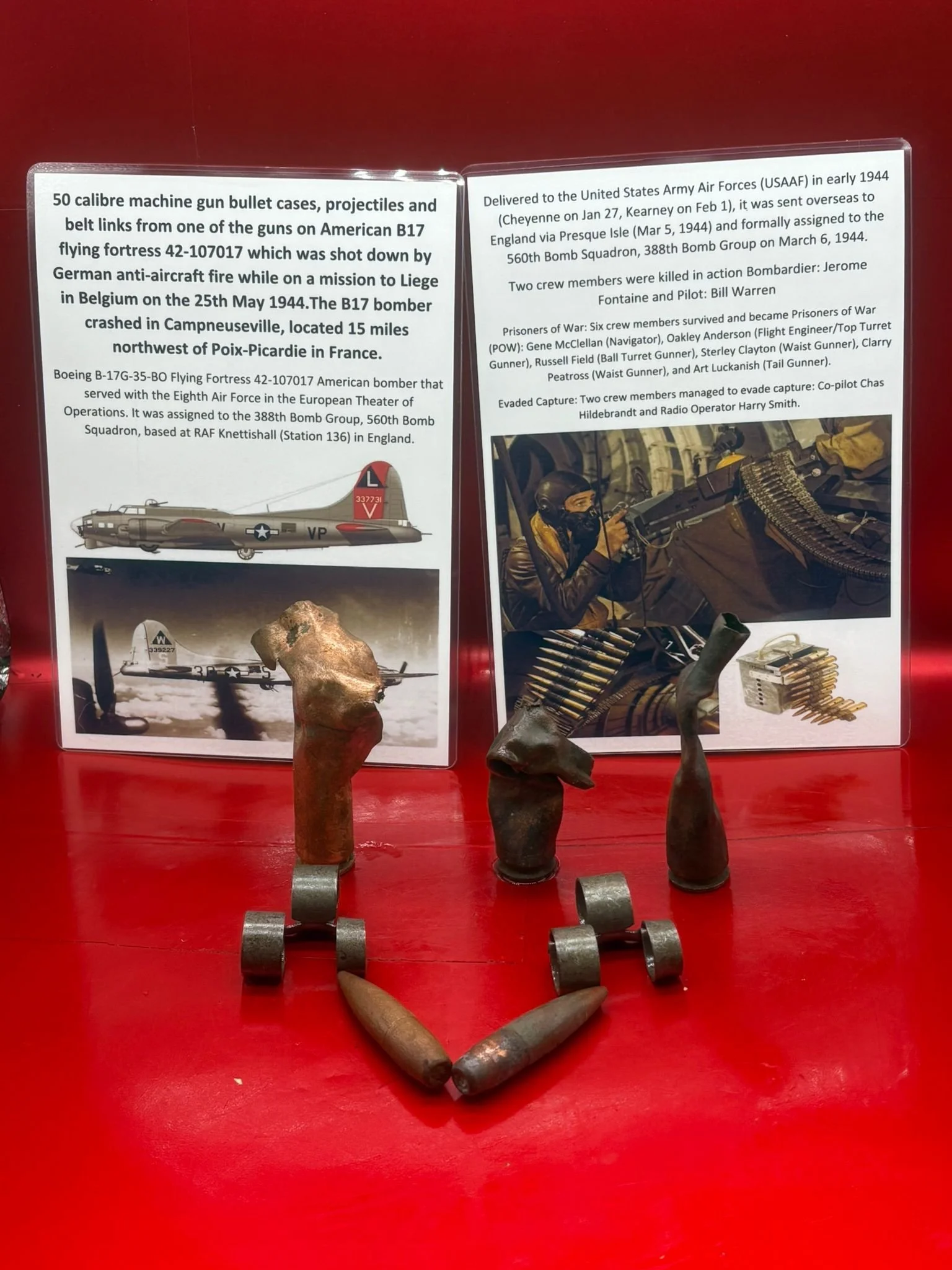 WhatsApp Image 2026-02-13 at 16.13.01.jpeg