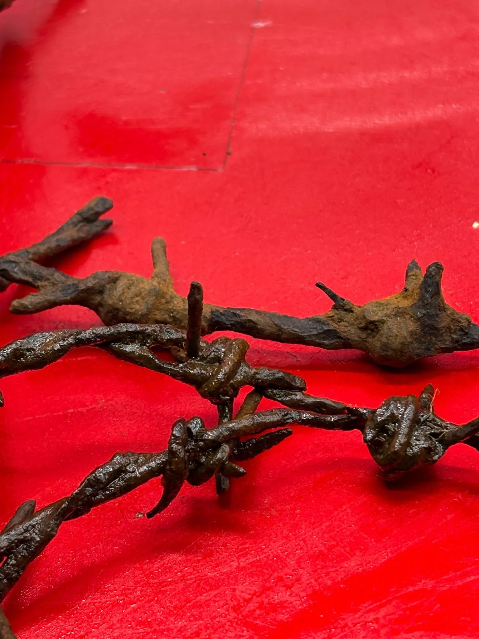 WhatsApp Image 2025-11-12 at 13.17.10 (6).jpeg