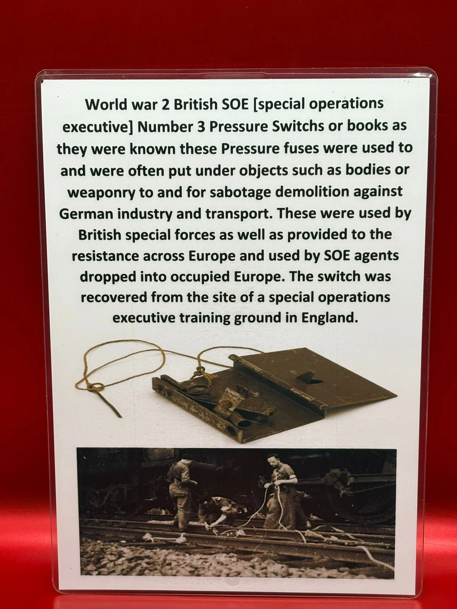 WhatsApp Image 2025-10-23 at 13.04.56 (3).jpeg