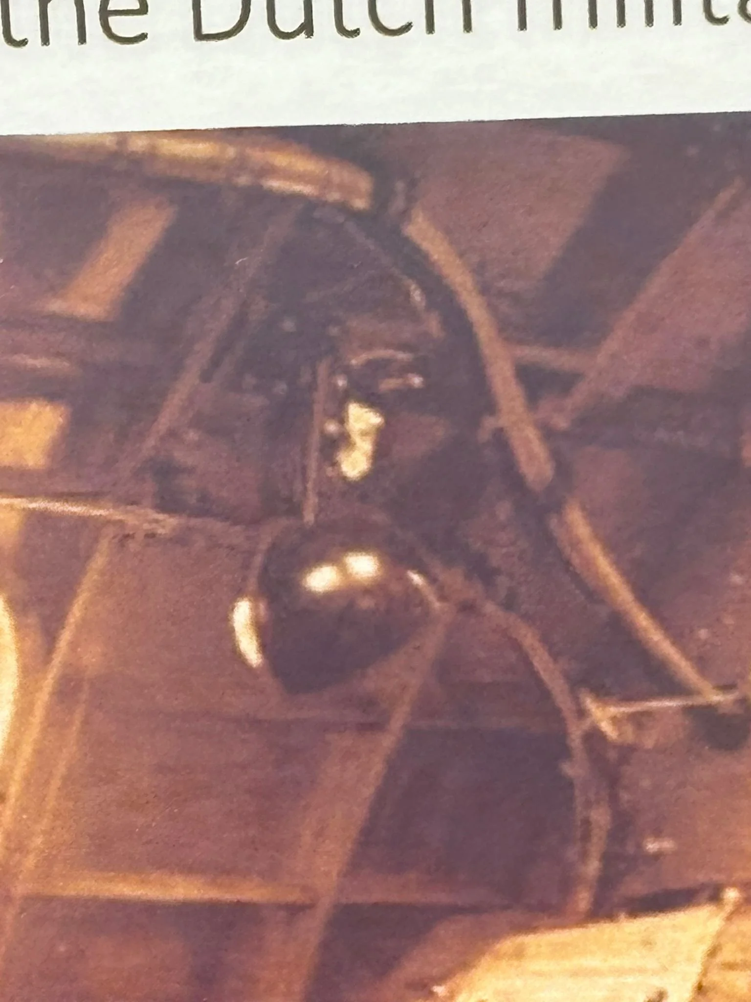 WhatsApp Image 2026-02-13 at 16.32.17.jpeg