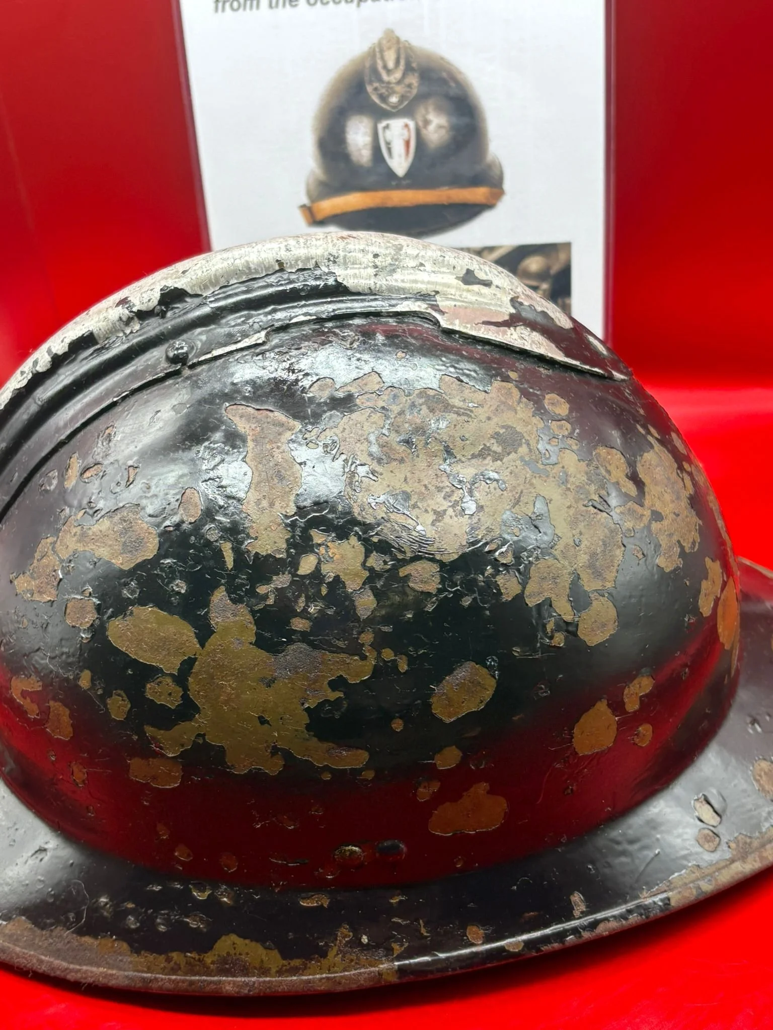 WhatsApp Image 2025-11-24 at 17.06.20 (1).jpeg