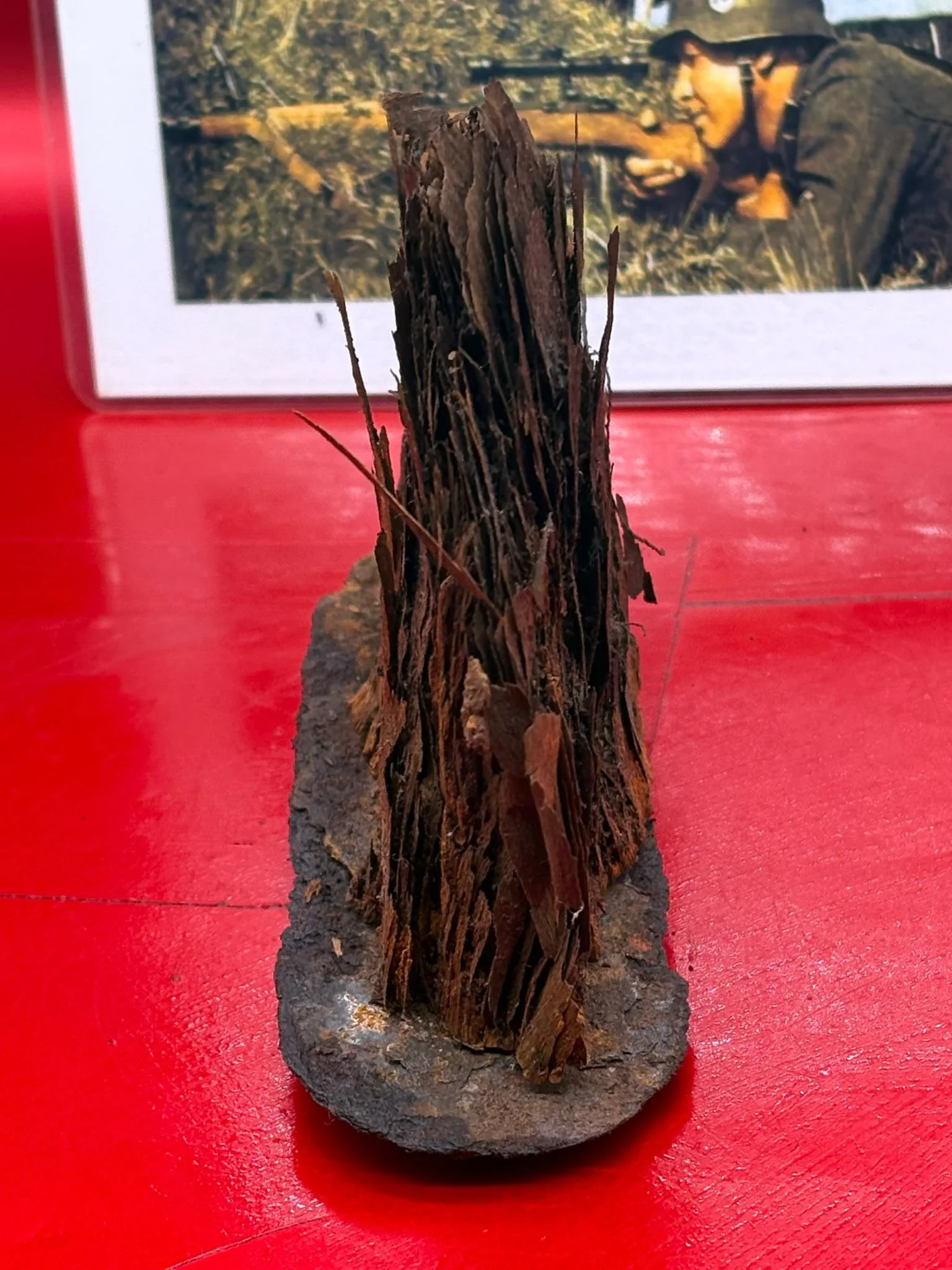 WhatsApp Image 2025-10-24 at 13.38.41 (1).jpeg