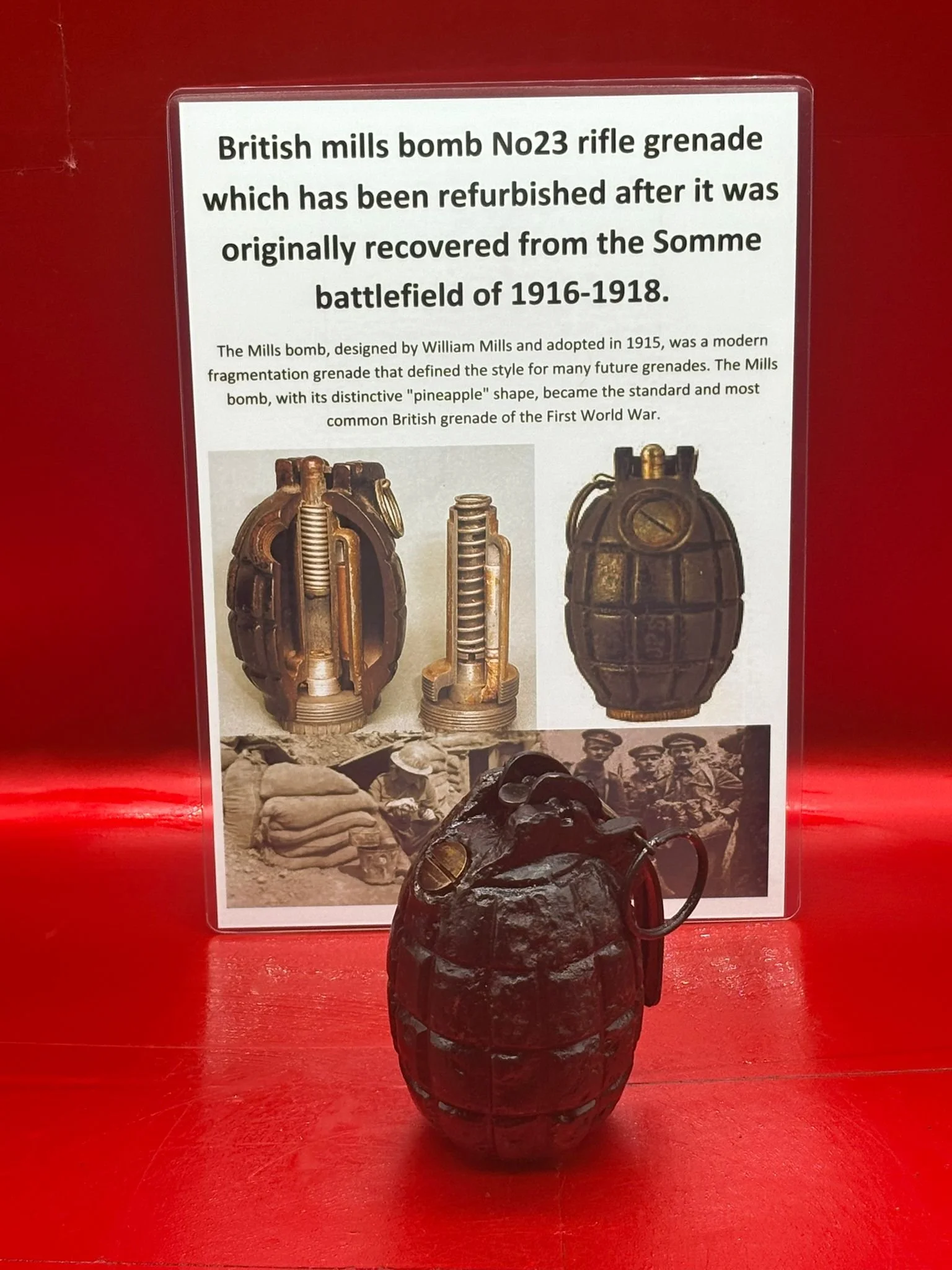 WhatsApp Image 2025-11-16 at 16.07.56.jpeg