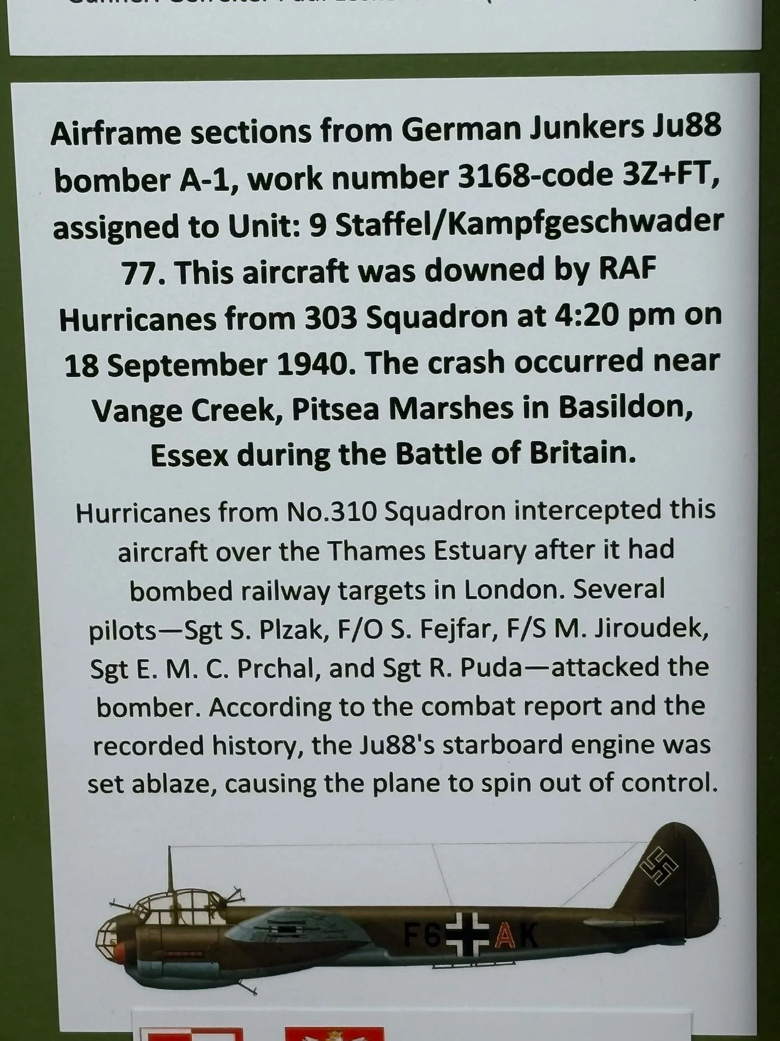 WhatsApp Image 2026-03-11 at 13.03.47 (4).jpeg