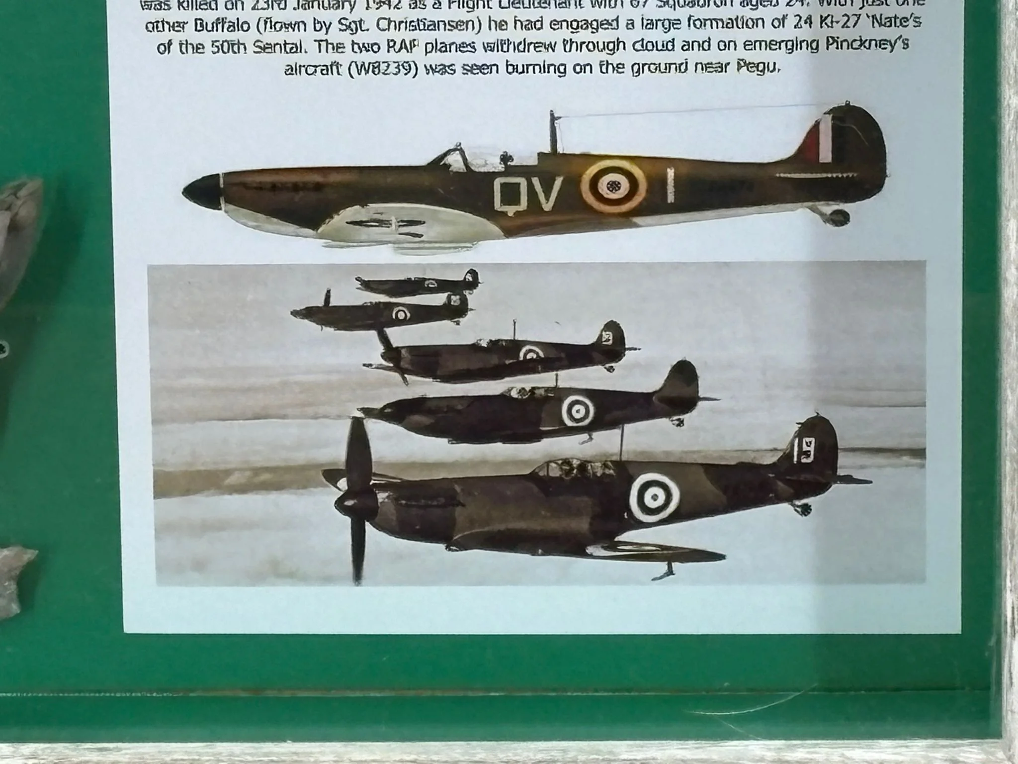 WhatsApp Image 2026-03-11 at 12.57.20 (2).jpeg