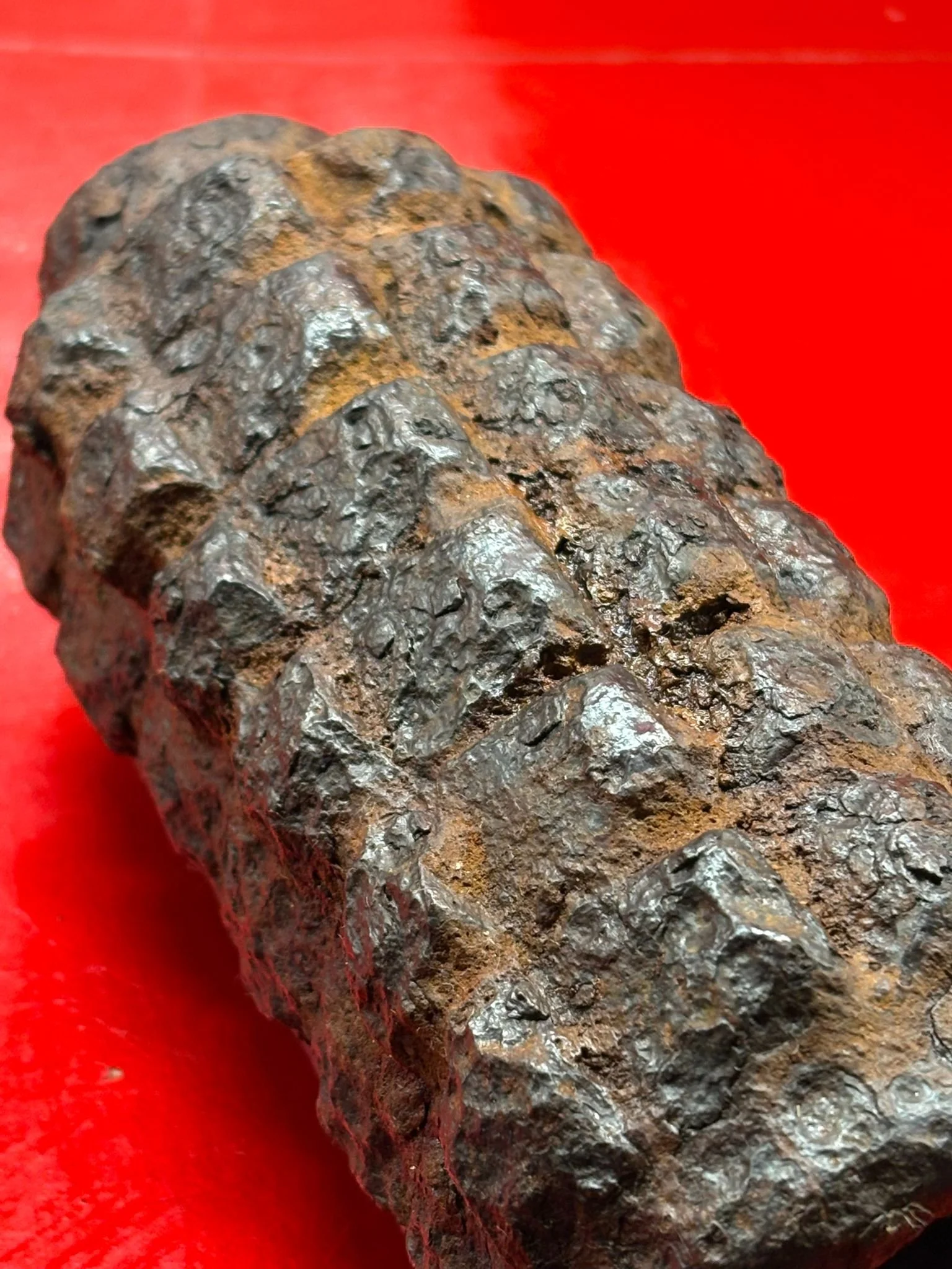 WhatsApp Image 2025-10-22 at 17.34.28 (1).jpeg