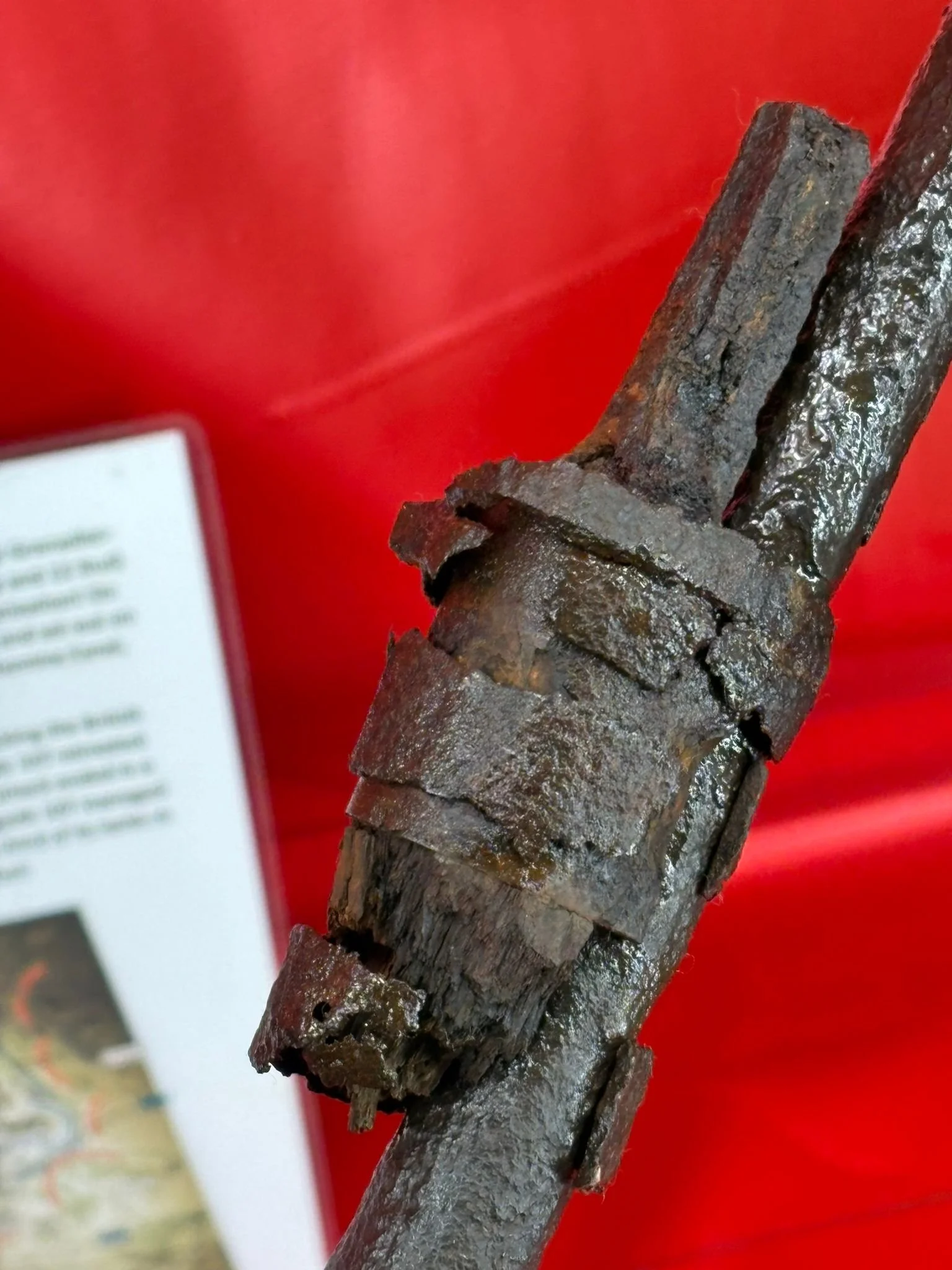 WhatsApp Image 2025-10-27 at 15.29.22 (3).jpeg