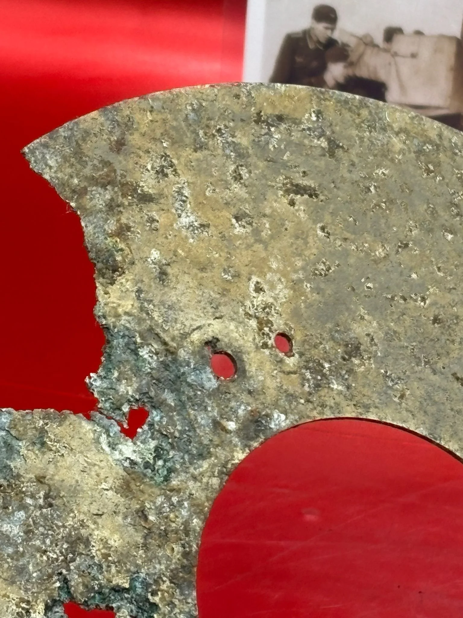 WhatsApp Image 2025-11-24 at 16.50.58.jpeg