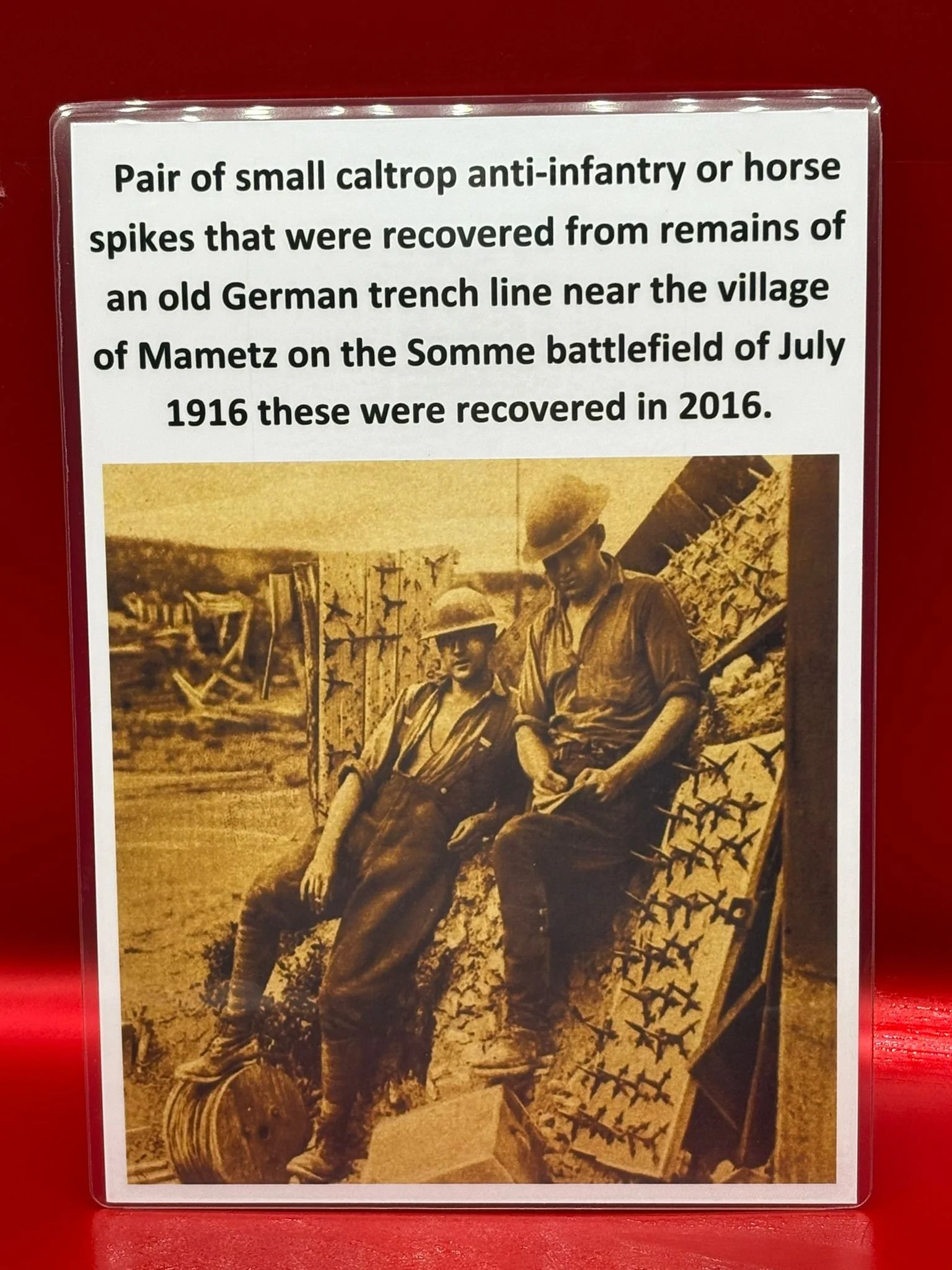 WhatsApp Image 2025-11-12 at 13.14.01 (3).jpeg