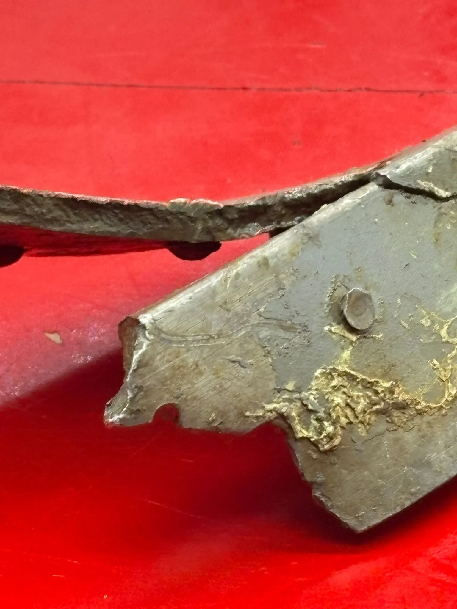 WhatsApp Image 2025-12-09 at 14.05.43 (1).jpeg