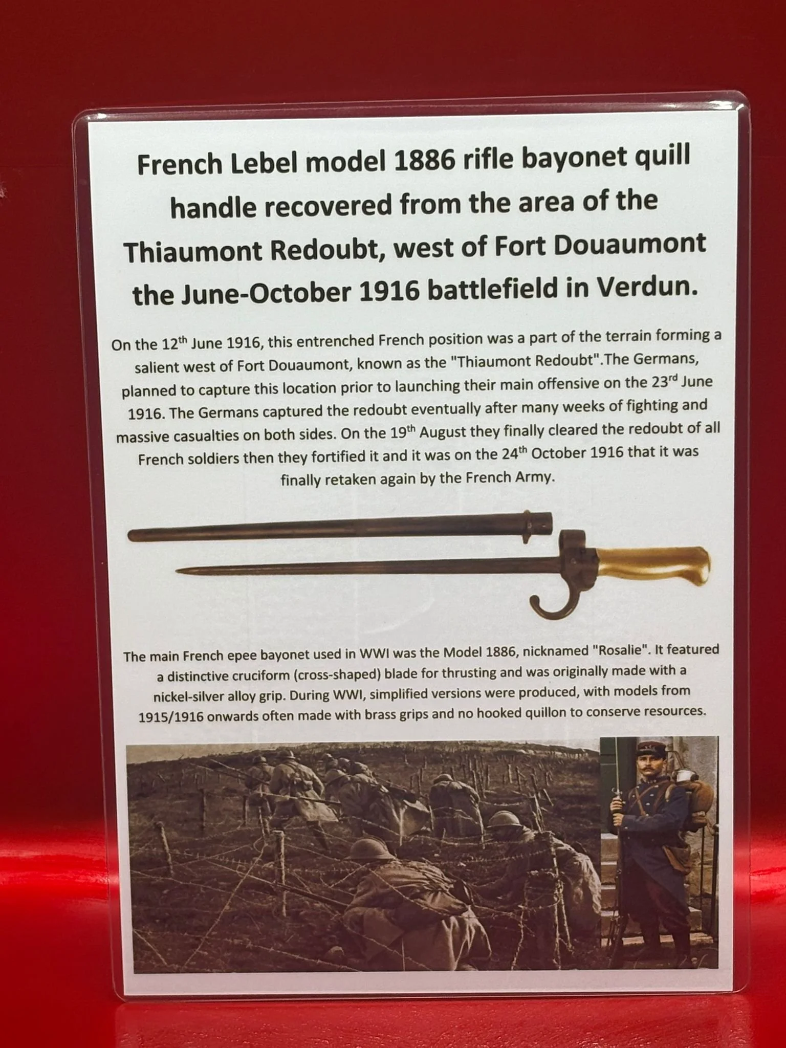 WhatsApp Image 2025-11-16 at 16.05.07 (4).jpeg