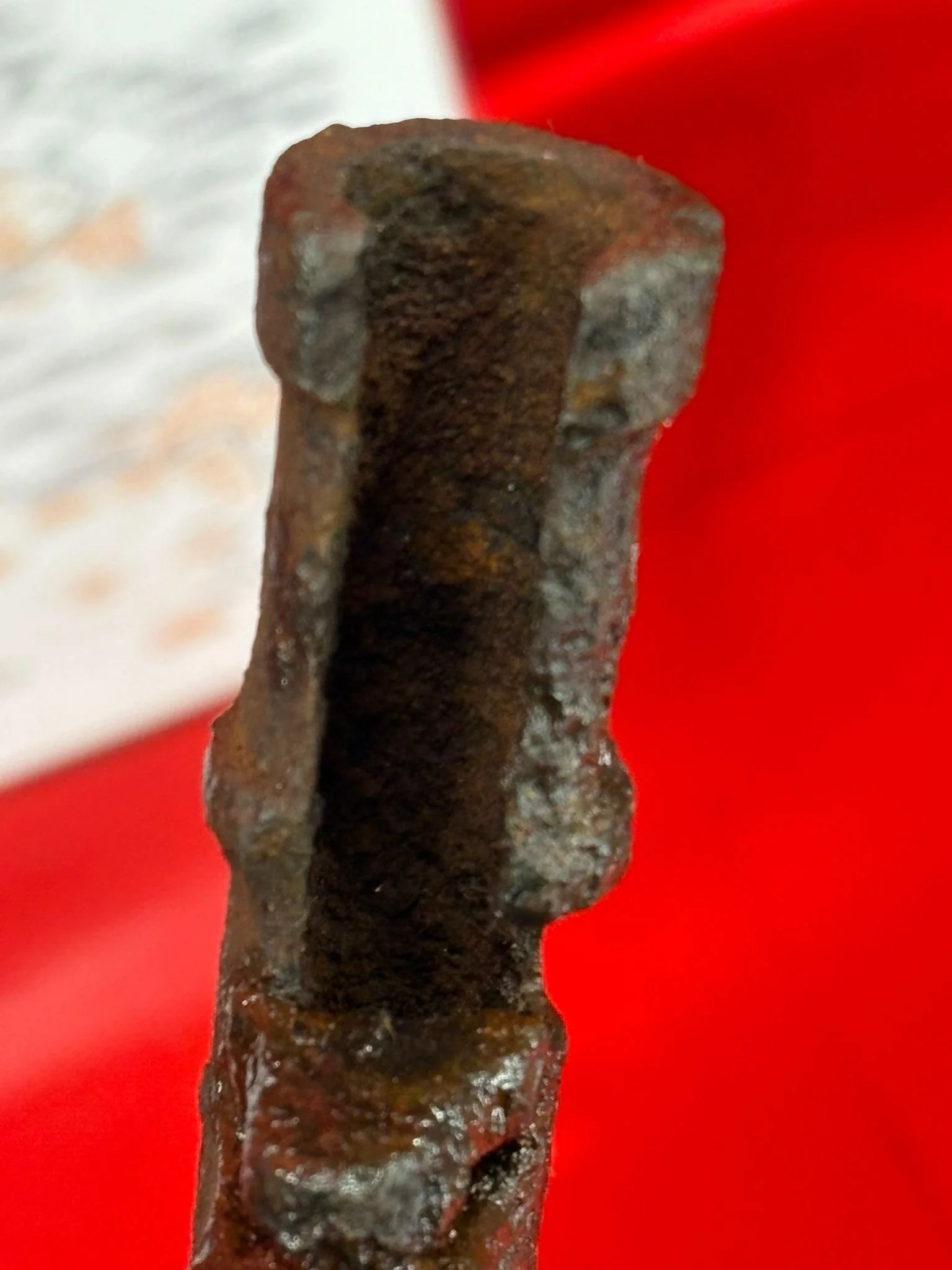 WhatsApp Image 2025-10-24 at 16.01.23 (2).jpeg