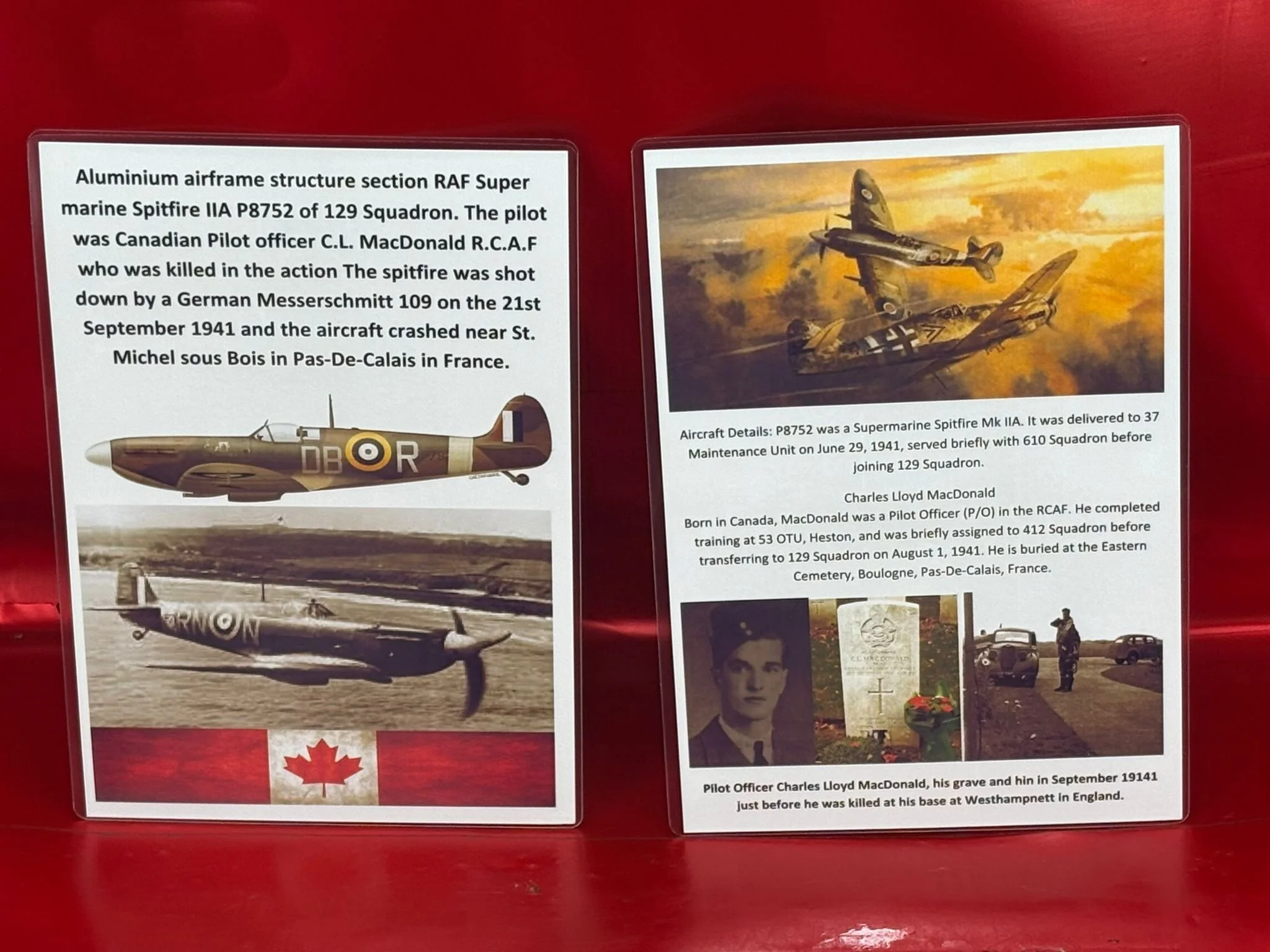 WhatsApp Image 2026-02-10 at 11.58.09.jpeg