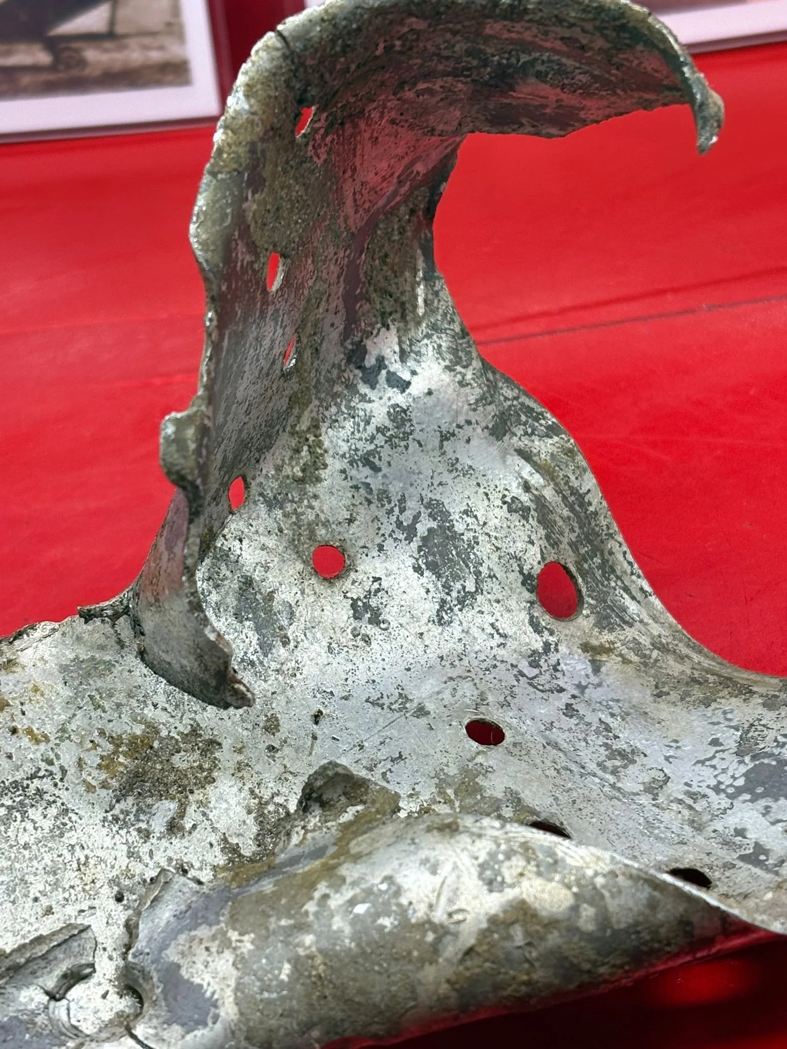 WhatsApp Image 2026-02-10 at 11.58.39 (3).jpeg