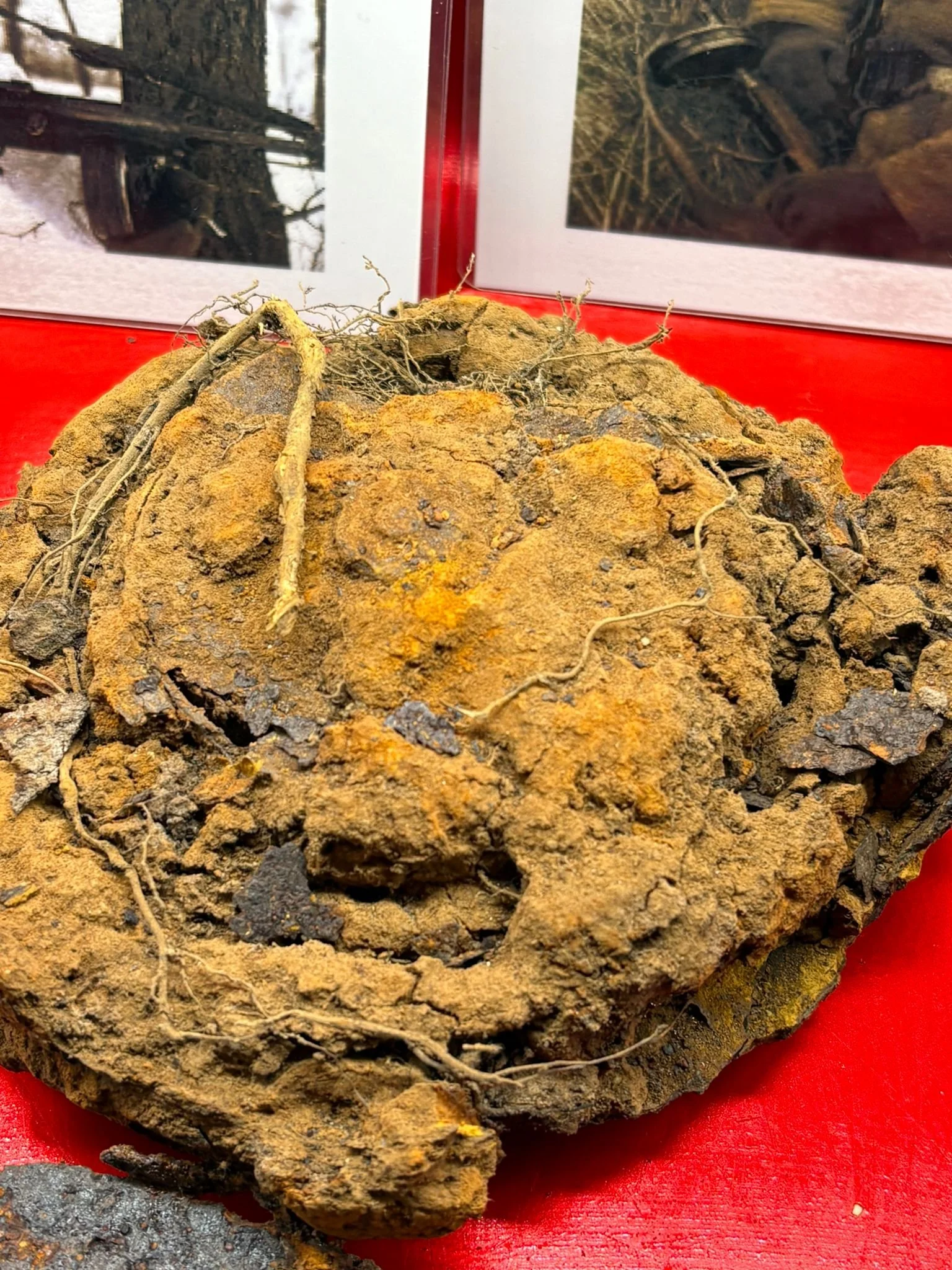 WhatsApp Image 2025-10-22 at 17.07.03 (1).jpeg