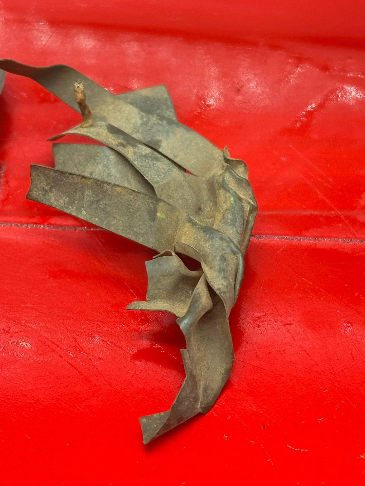 WhatsApp Image 2025-11-20 at 19.04.39 (1).jpeg