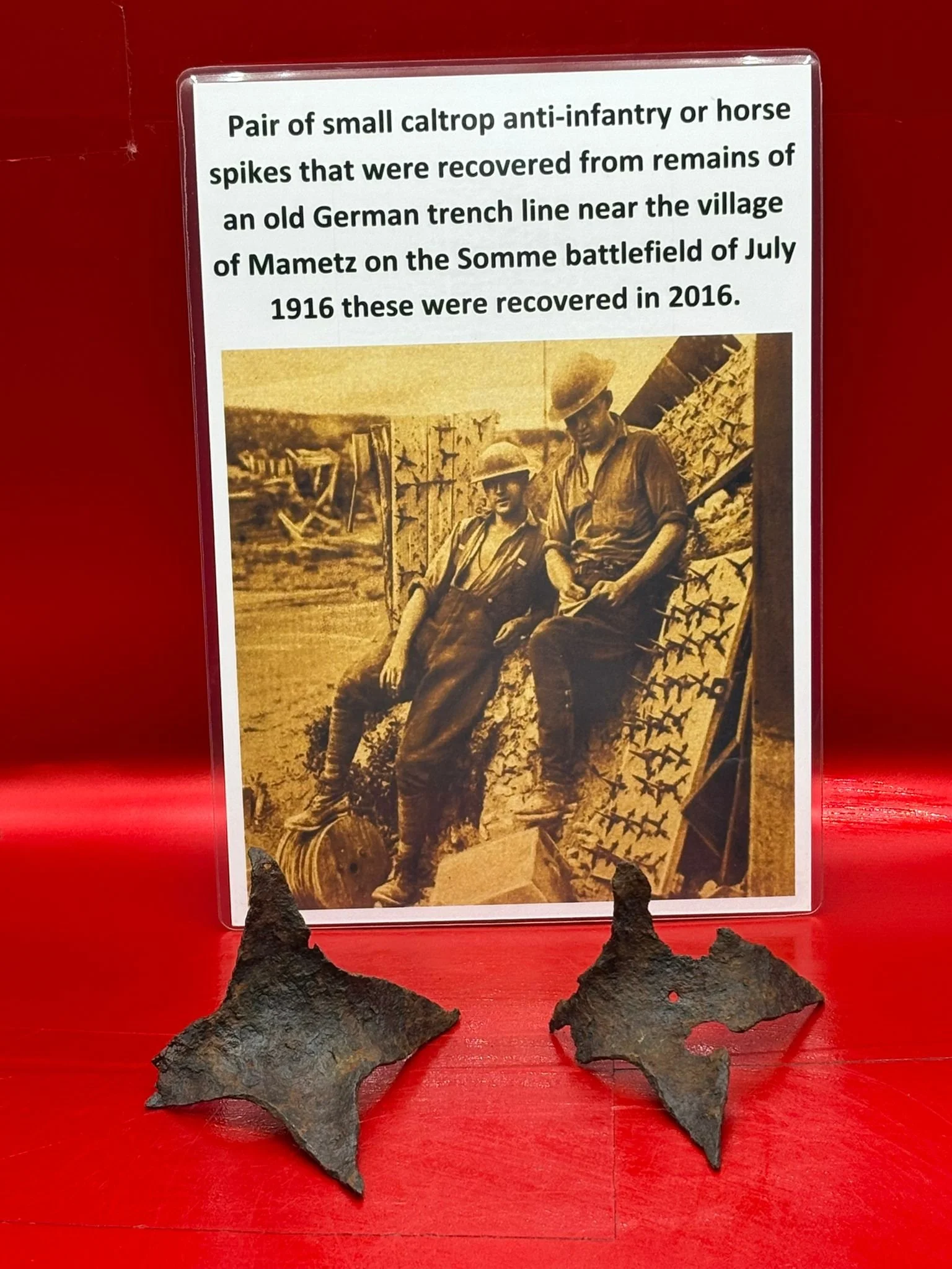 WhatsApp Image 2025-11-12 at 13.14.39.jpeg