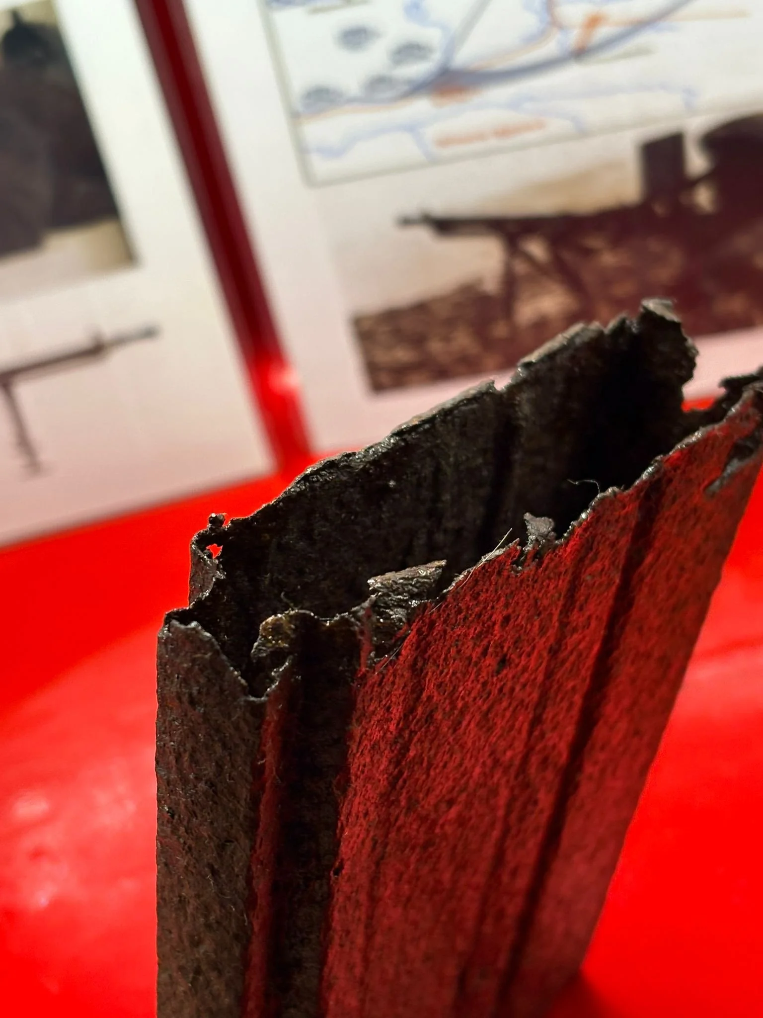 WhatsApp Image 2025-10-22 at 18.09.01 (3).jpeg