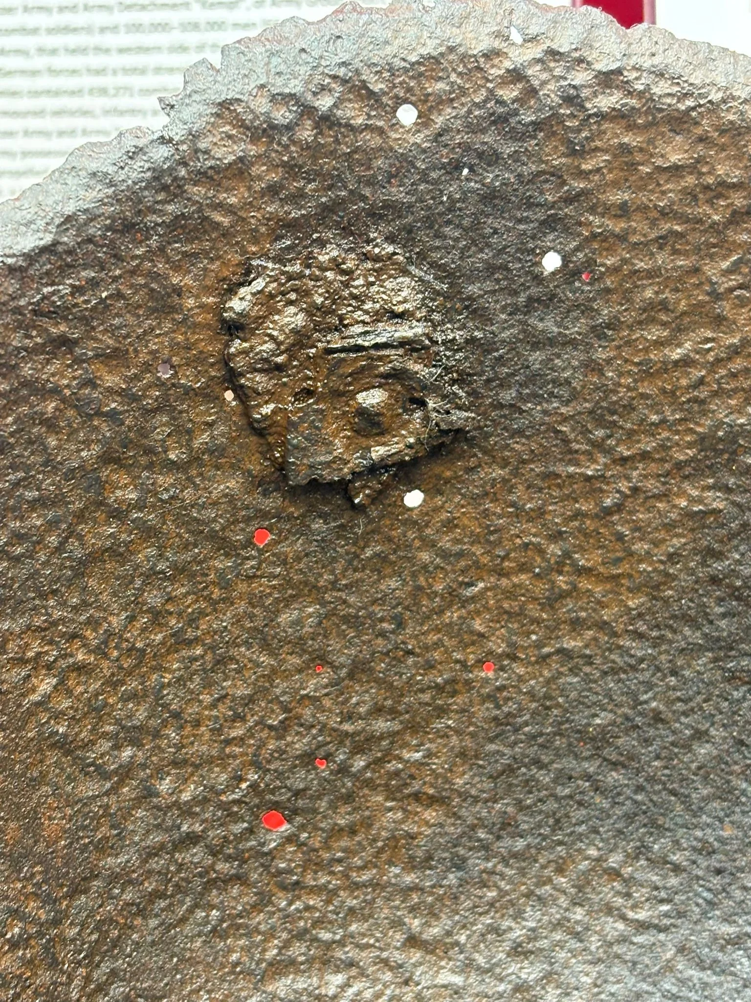 WhatsApp Image 2025-10-27 at 15.59.04 (1).jpeg