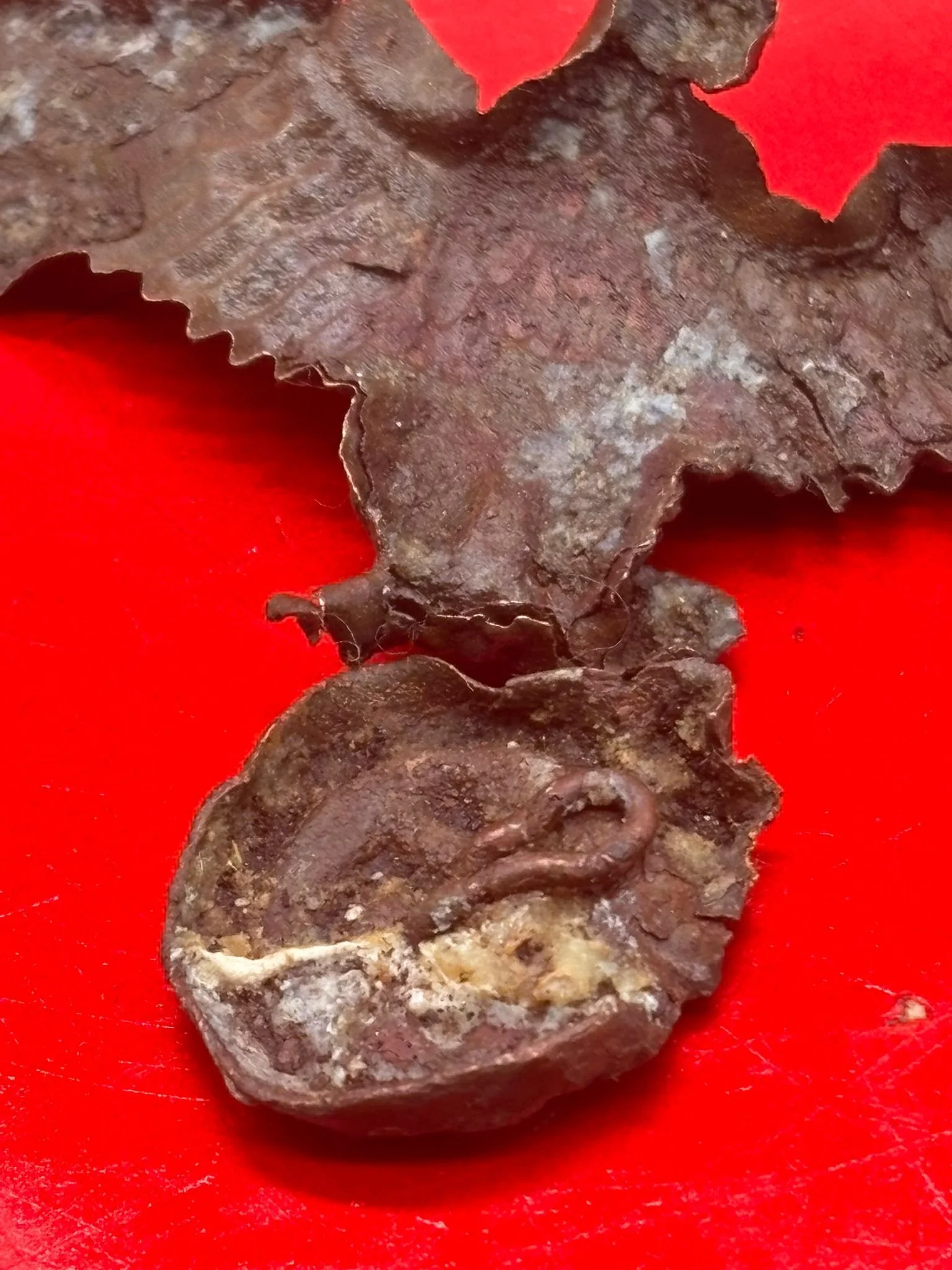 WhatsApp Image 2025-11-20 at 19.06.29 (3).jpeg