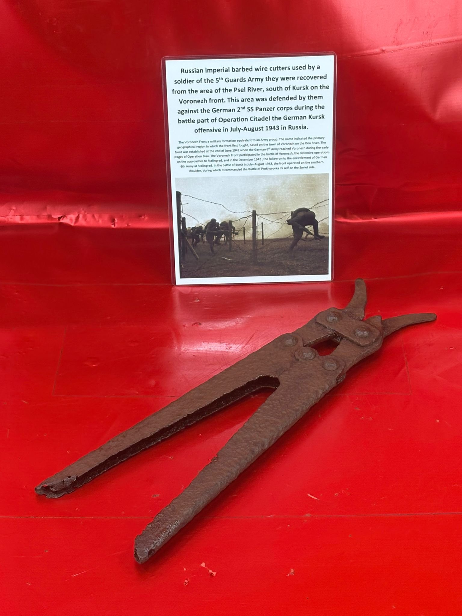 WhatsApp Image 2025-11-18 at 15.16.09 (3).jpeg