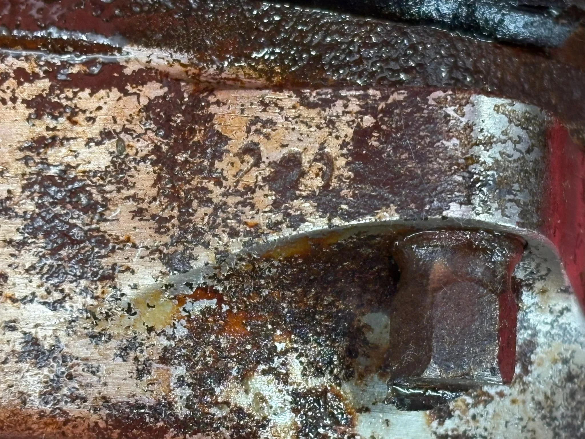 WhatsApp Image 2026-03-12 at 15.28.41 (4).jpeg