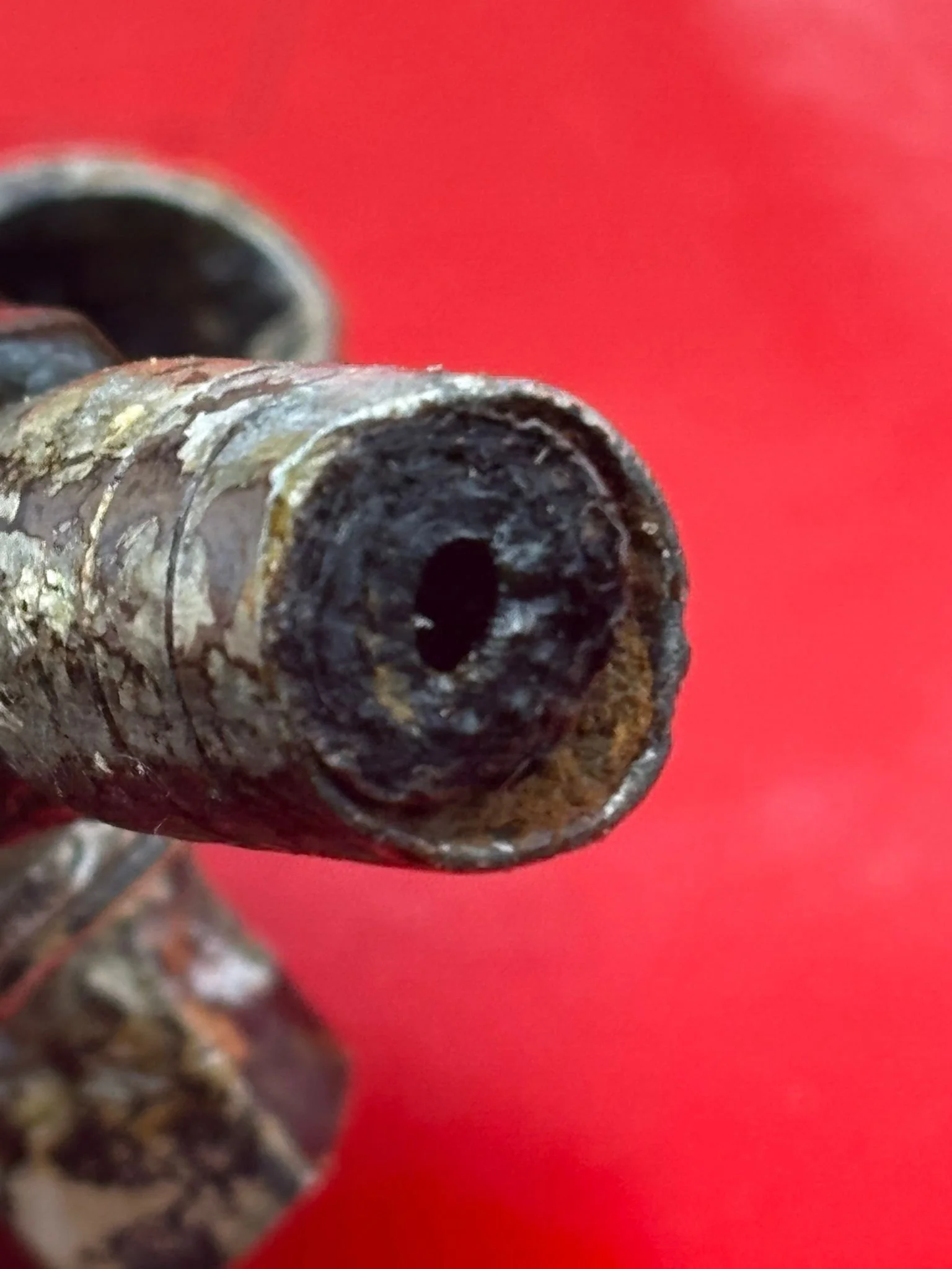 WhatsApp Image 2026-02-10 at 12.08.39 (7).jpeg