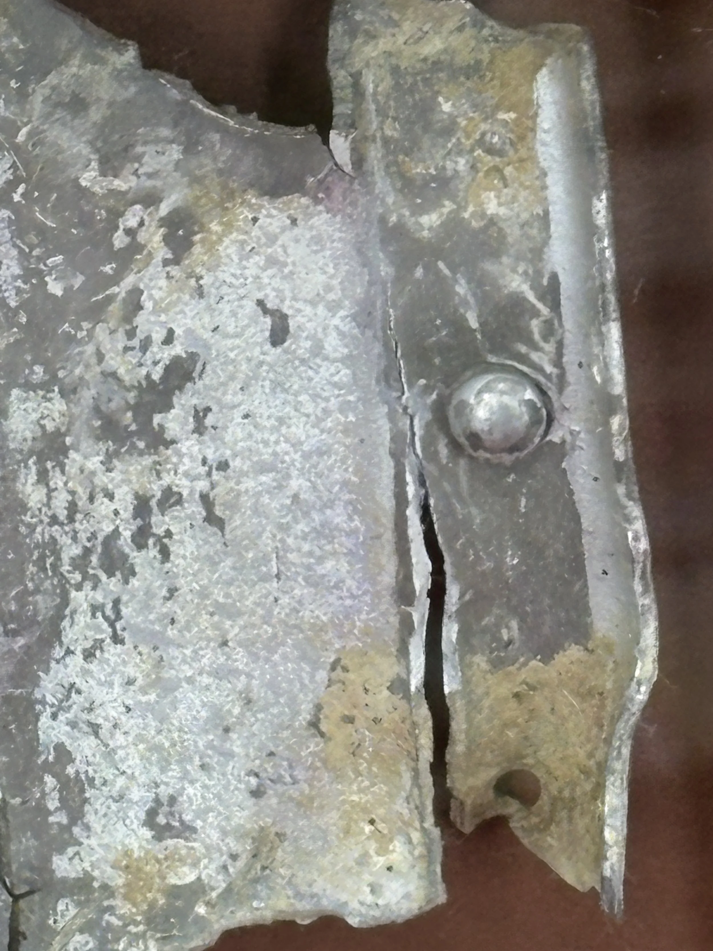 IMG_4303.JPG