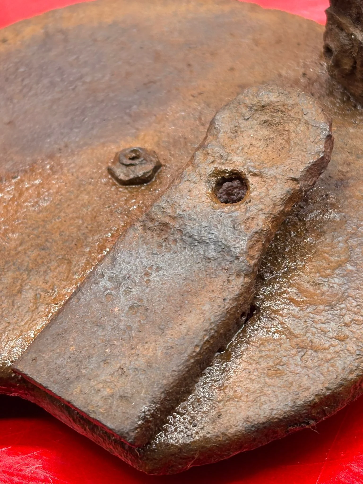 WhatsApp Image 2025-11-26 at 14.54.12.jpeg