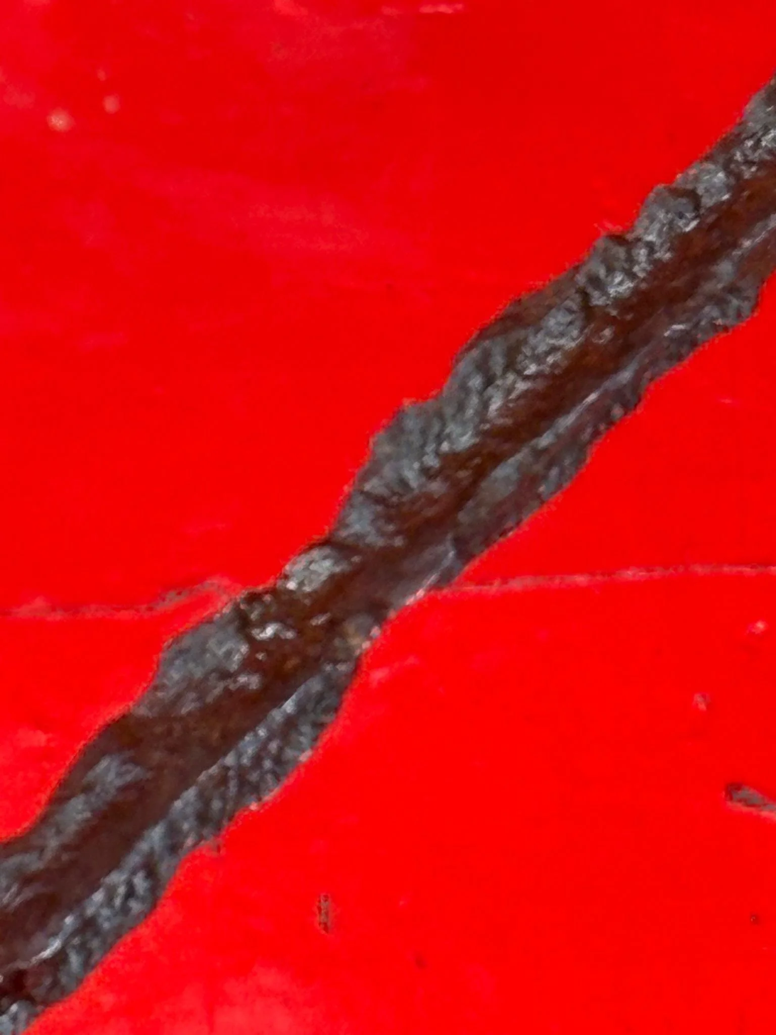 WhatsApp Image 2025-11-16 at 16.02.12 (1).jpeg