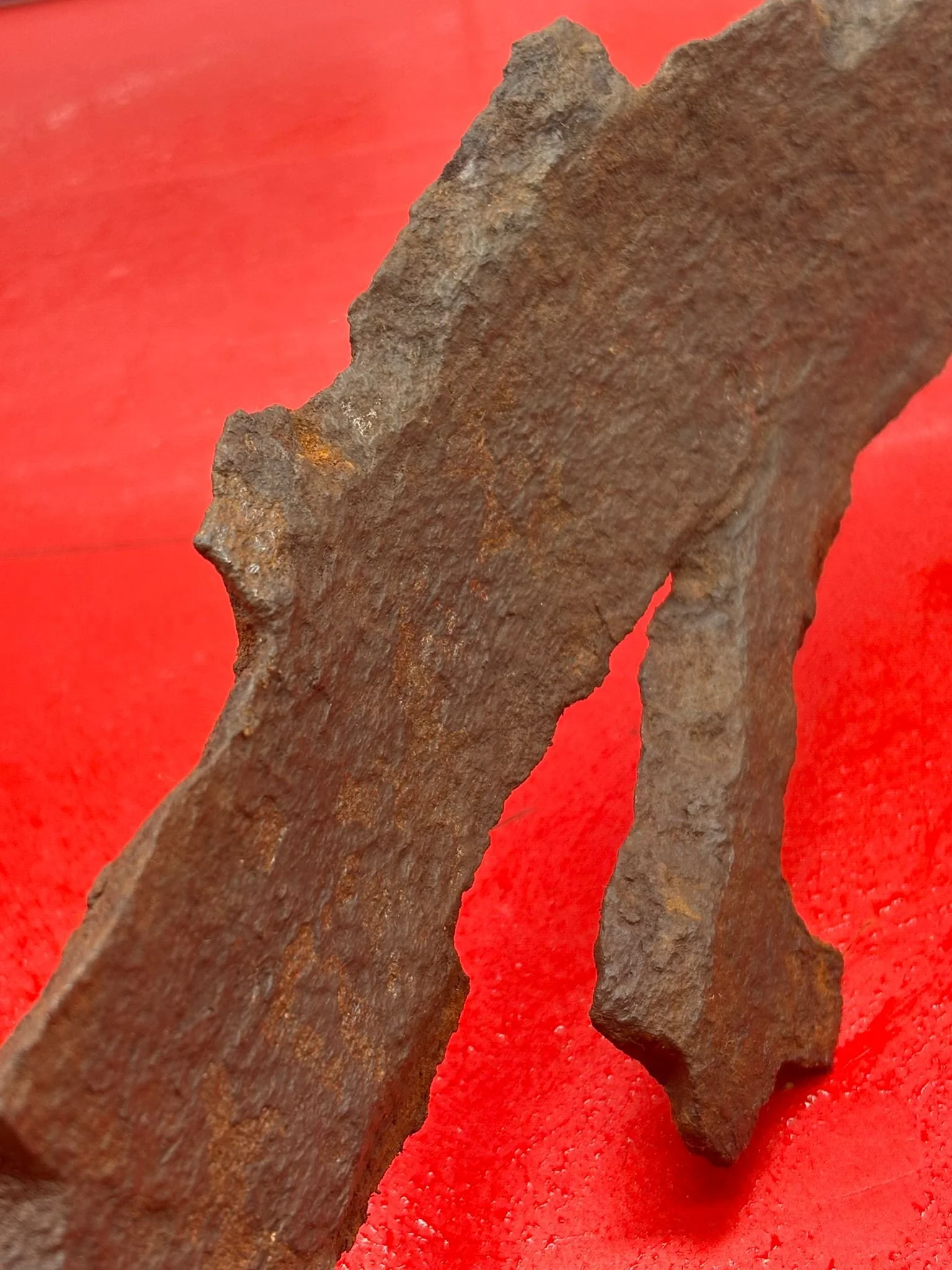 WhatsApp Image 2025-11-18 at 15.10.05 (6).jpeg