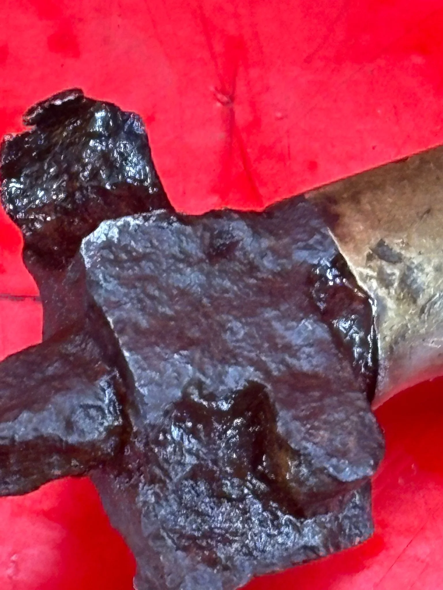 WhatsApp Image 2025-11-16 at 16.02.11 (5).jpeg