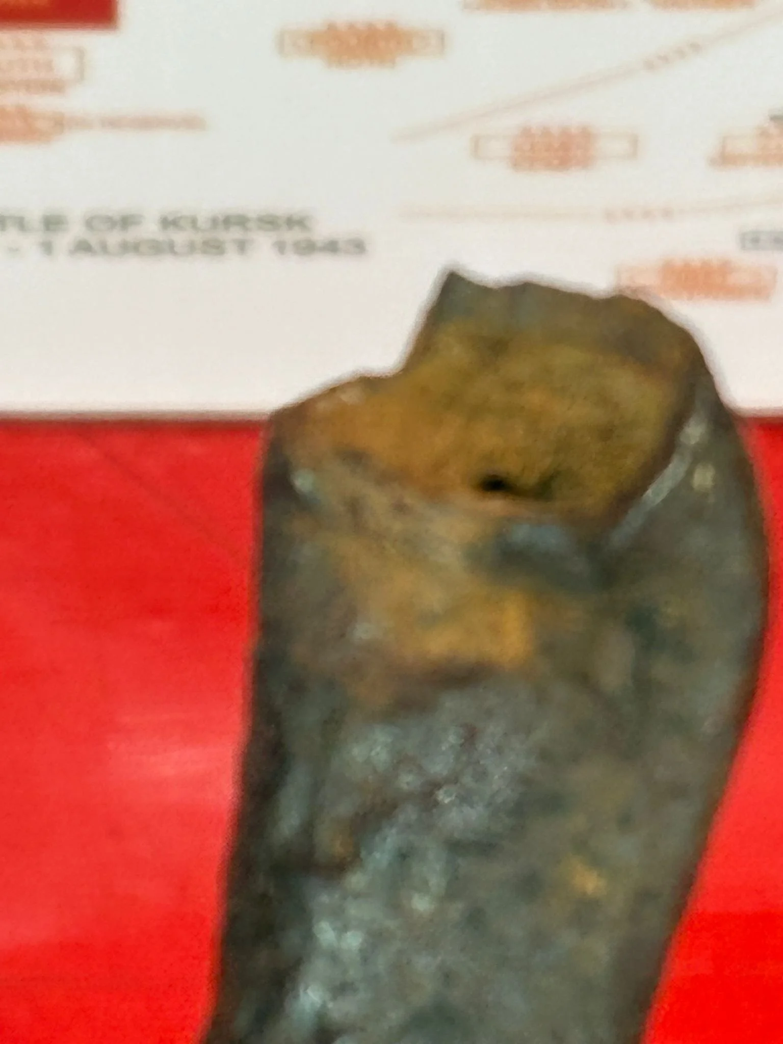 WhatsApp Image 2025-10-24 at 16.02.27 (6).jpeg