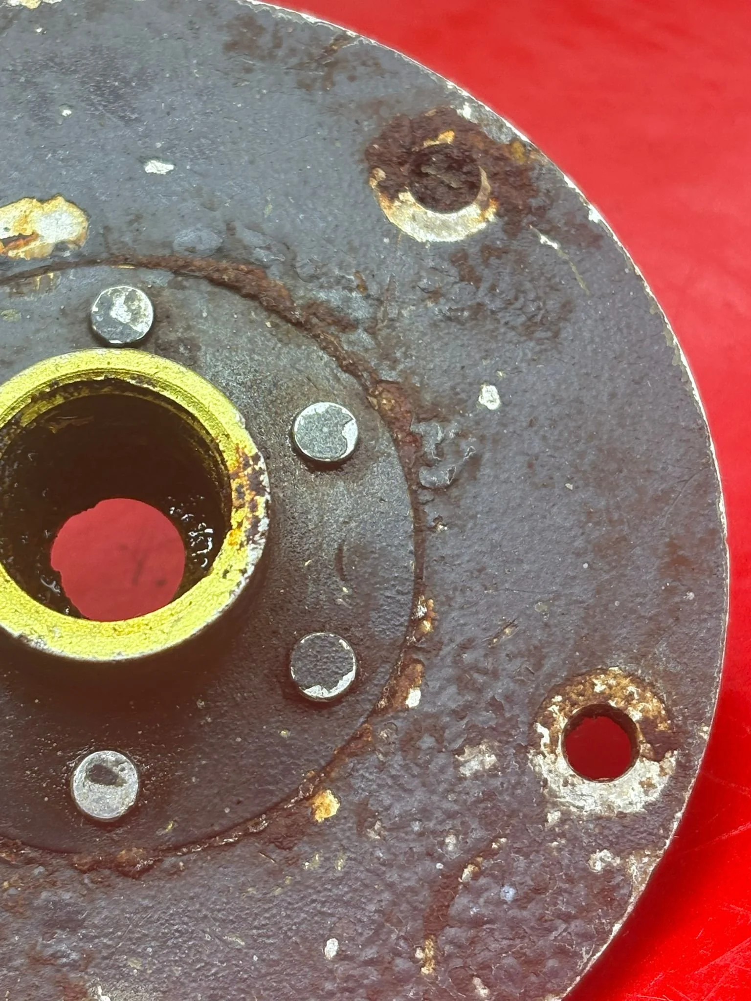 WhatsApp Image 2026-02-13 at 16.32.16 (1).jpeg