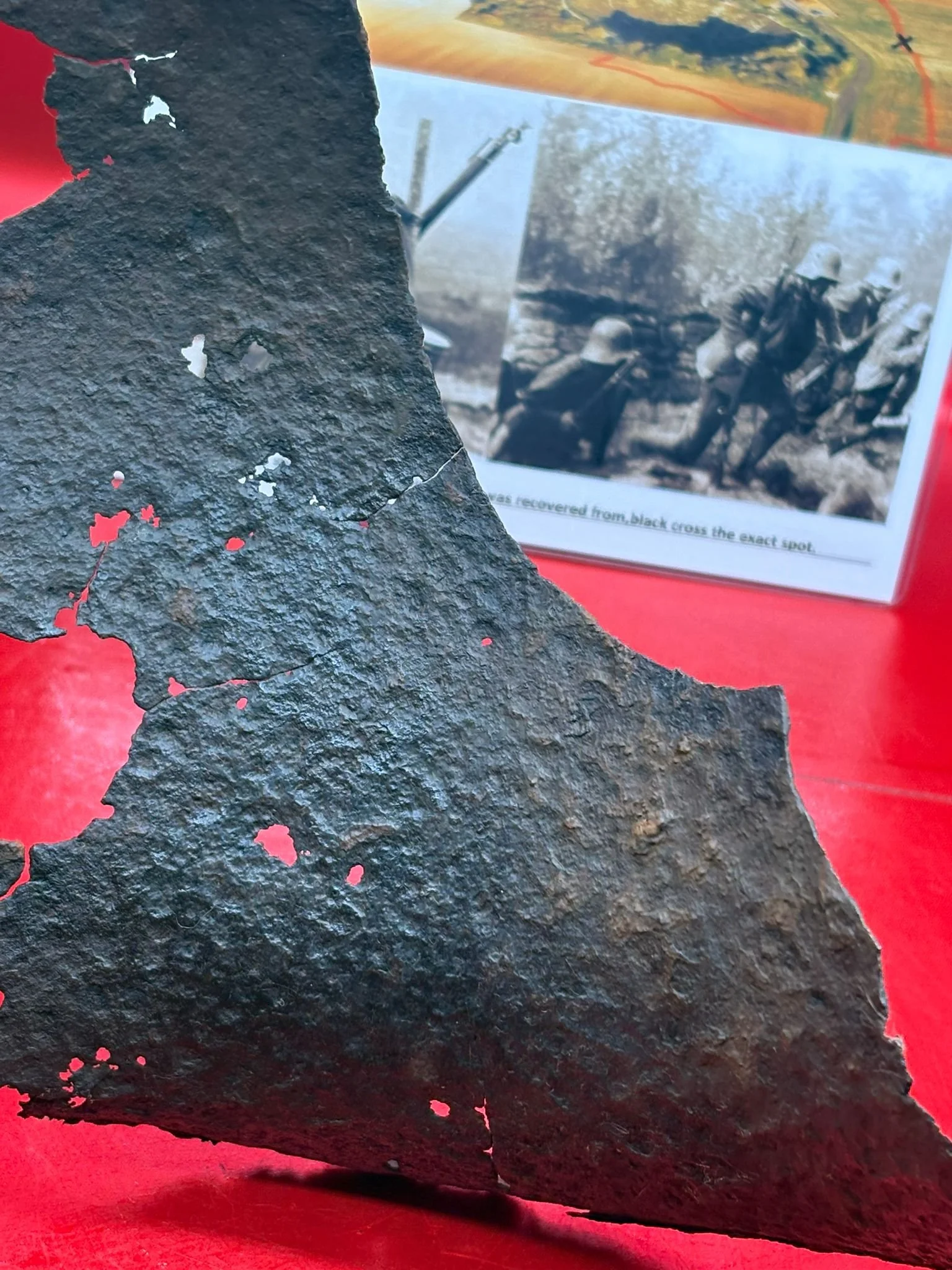 WhatsApp Image 2025-11-12 at 15.03.22.jpeg