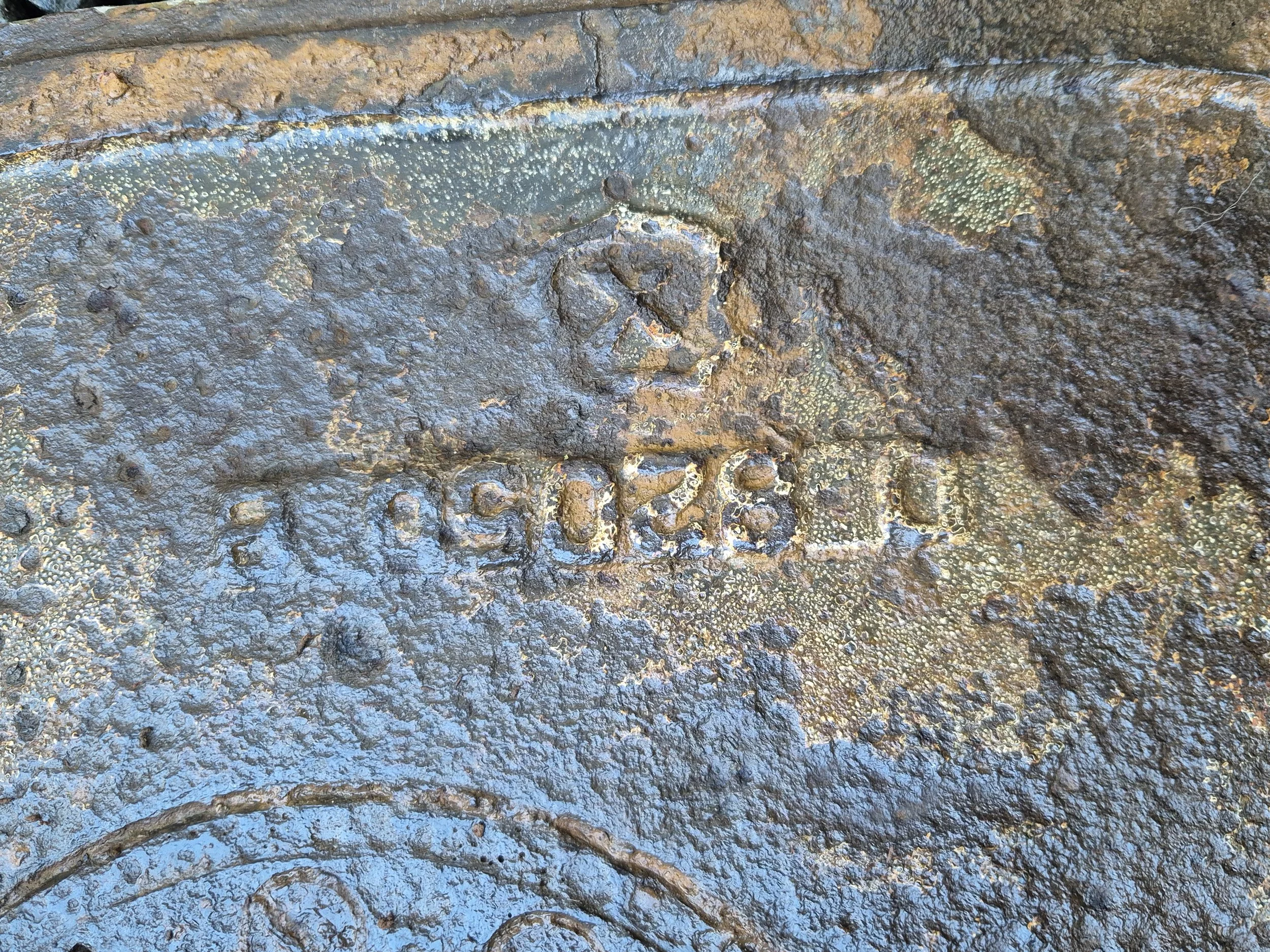 20250224_143017.jpg