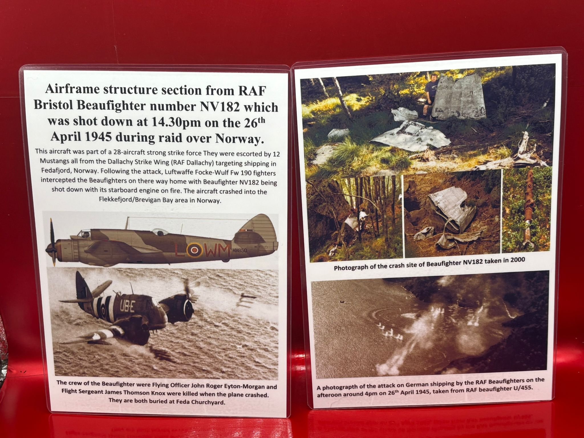 WhatsApp Image 2026-02-10 at 14.59.59 (4).jpeg