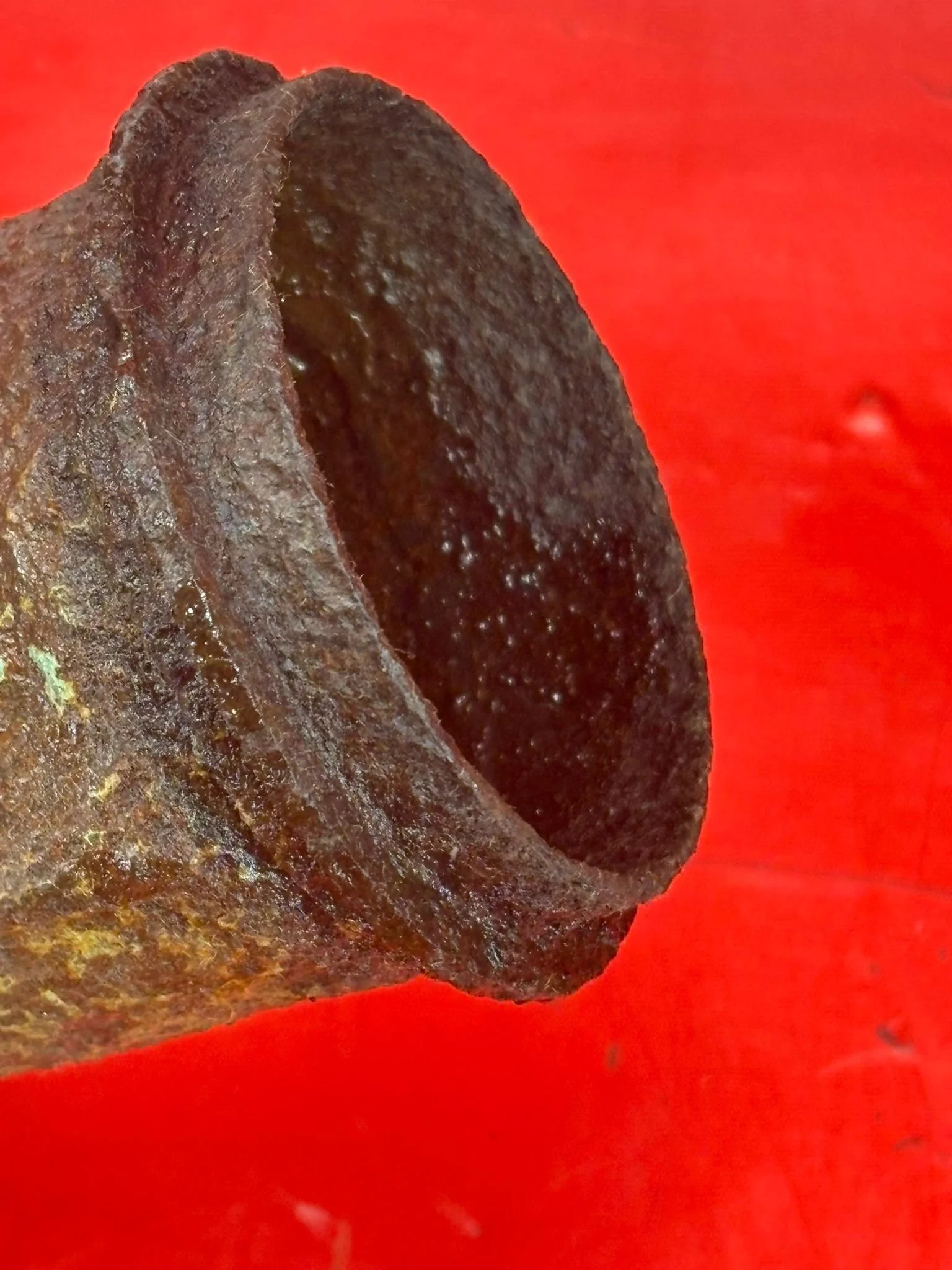 WhatsApp Image 2026-03-12 at 15.27.53.jpeg