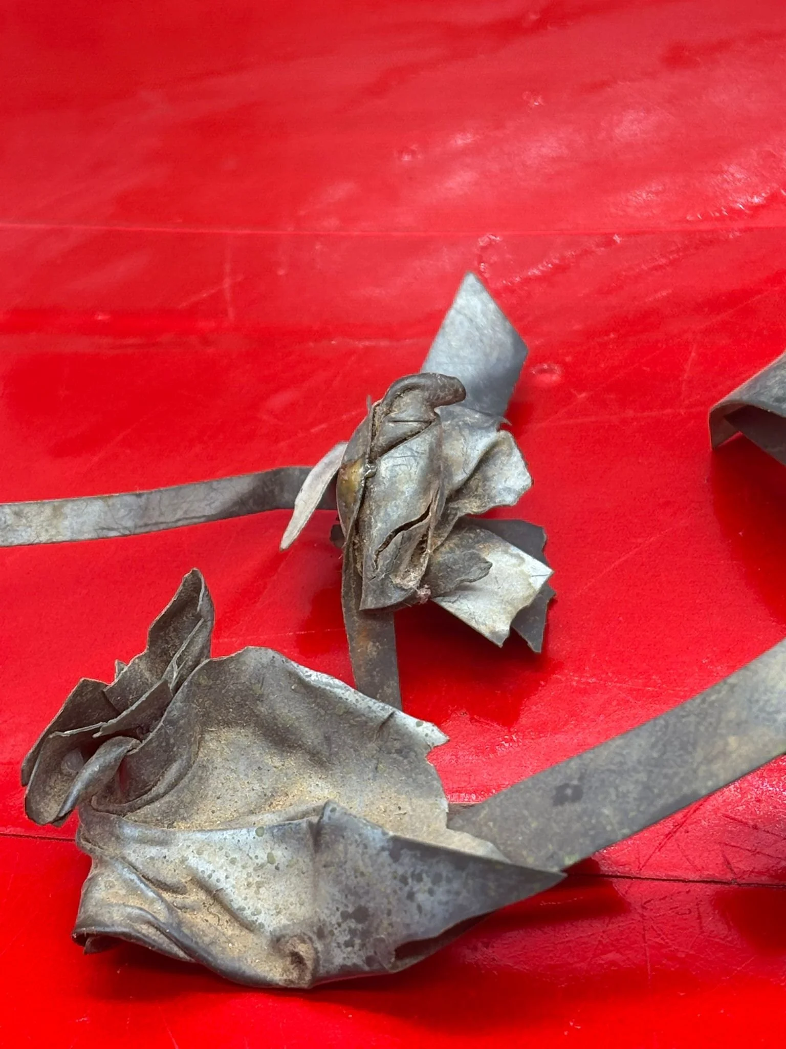 WhatsApp Image 2025-11-20 at 19.04.40.jpeg