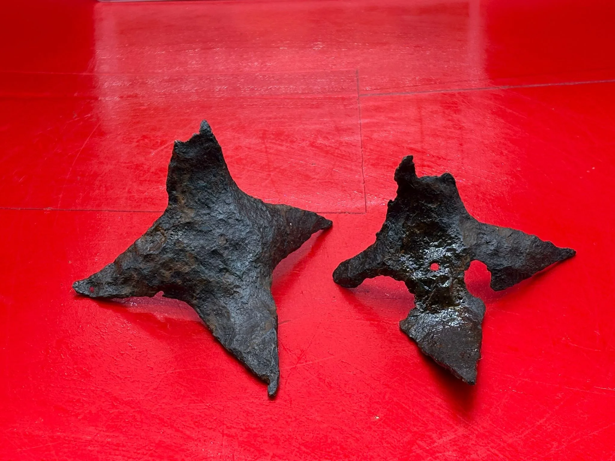 WhatsApp Image 2025-11-12 at 13.14.39 (2).jpeg