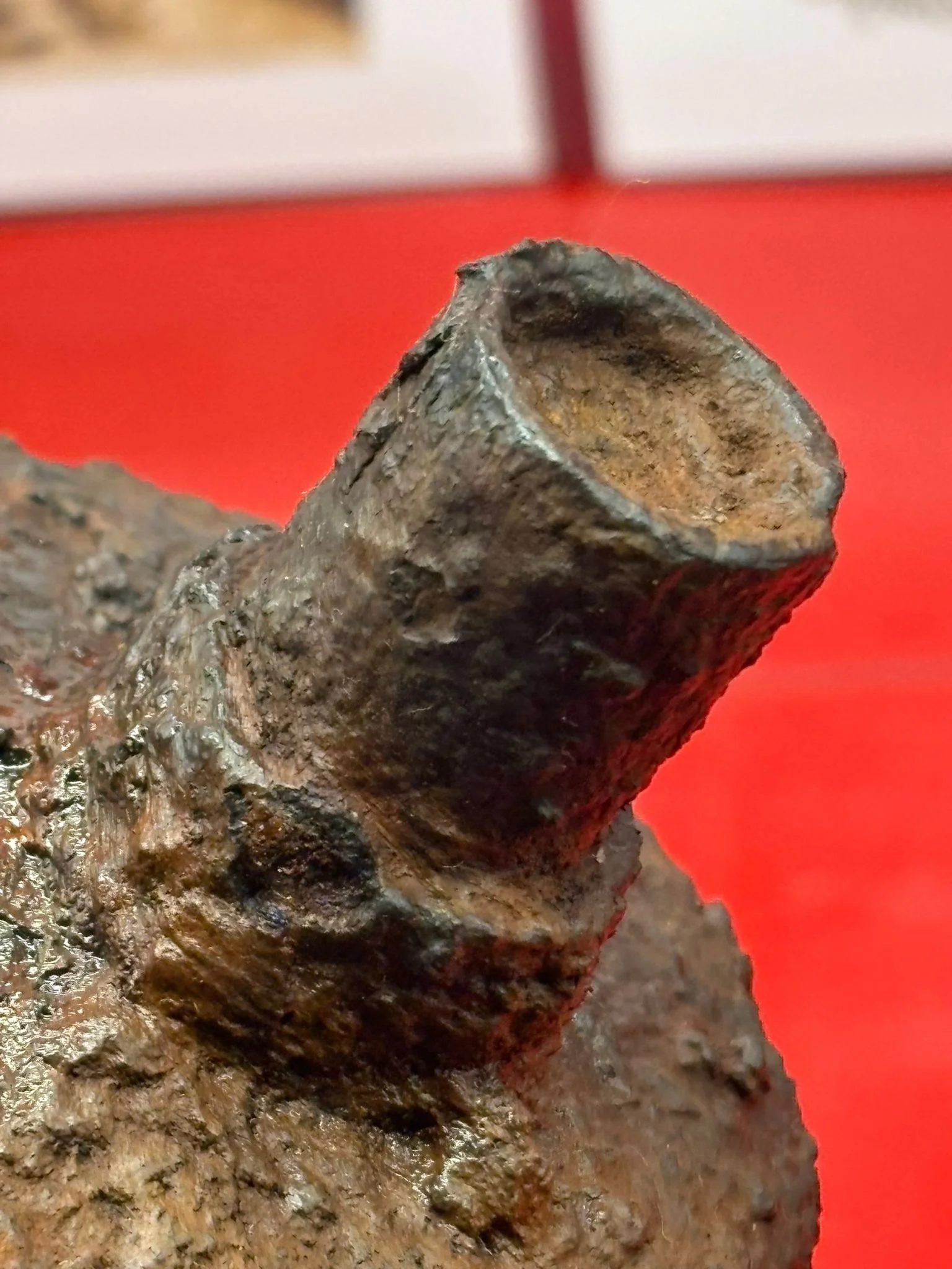 WhatsApp Image 2025-11-12 at 15.05.01 (4).jpeg