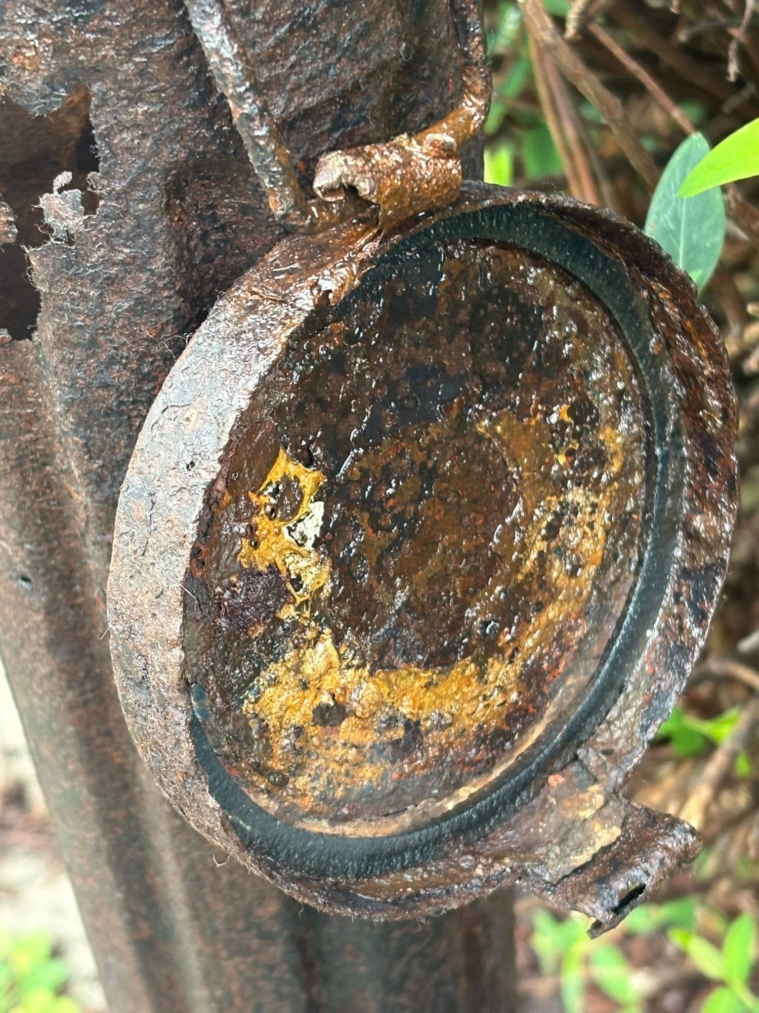 WhatsApp Image 2025-11-18 at 12.29.58 (3).jpeg