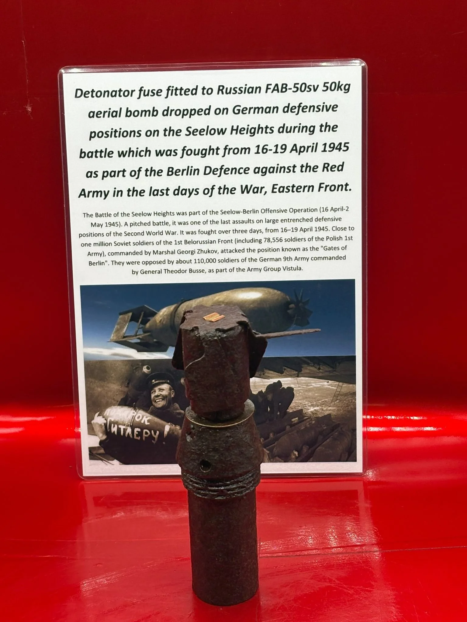 WhatsApp Image 2025-12-08 at 15.29.55.jpeg